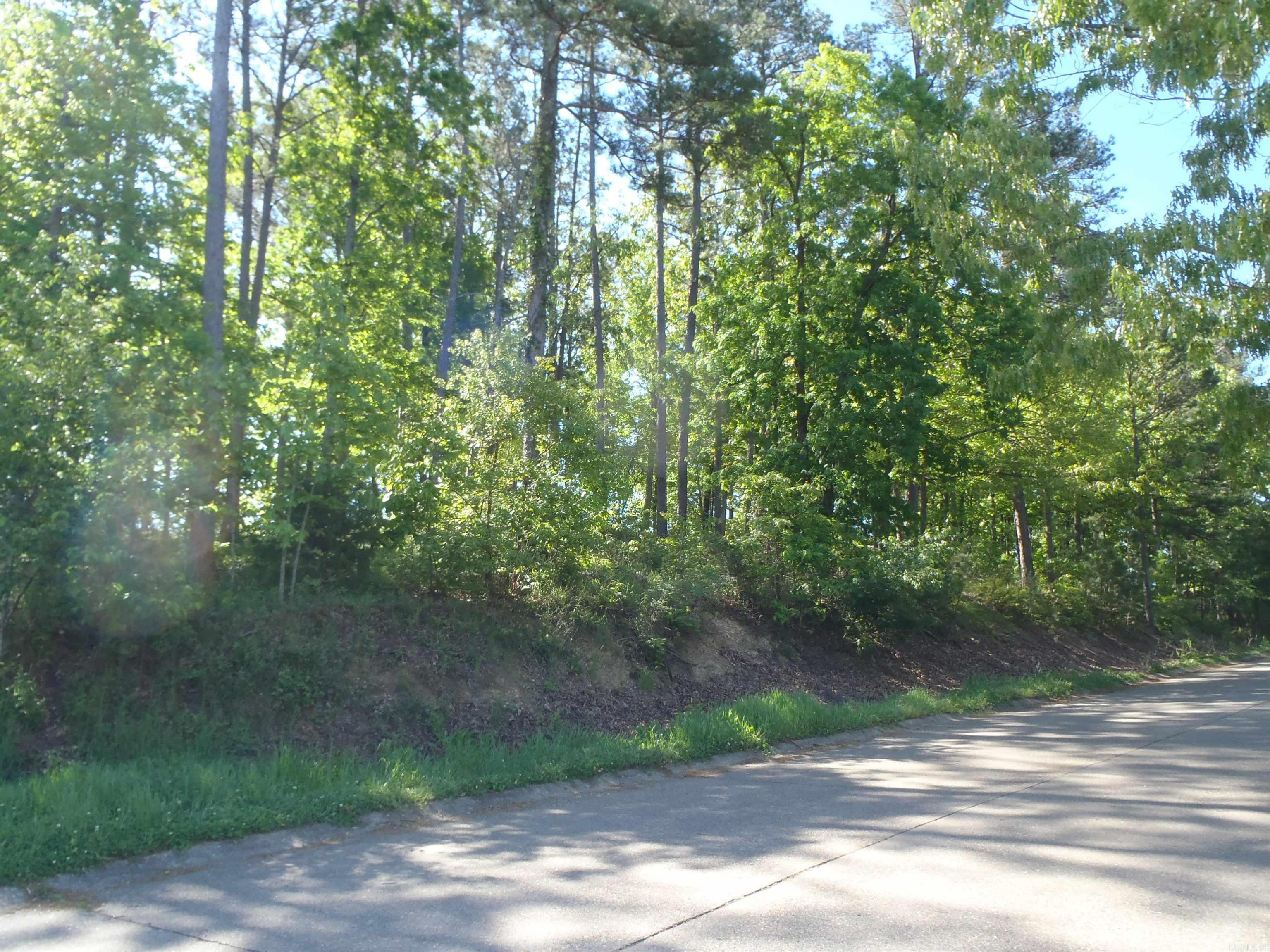 Driftwood Point - Land