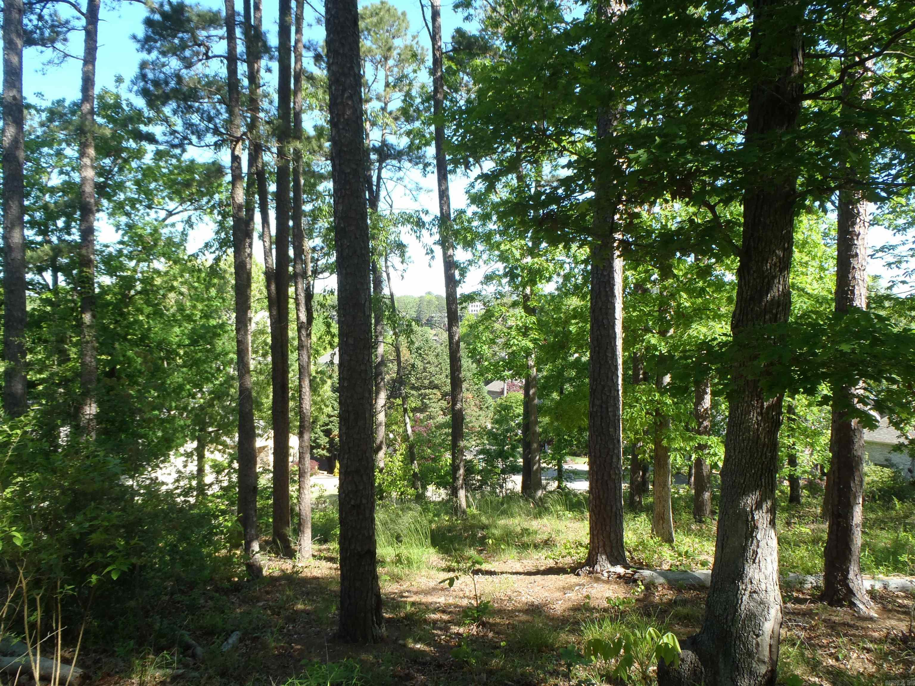 Driftwood Point - Land