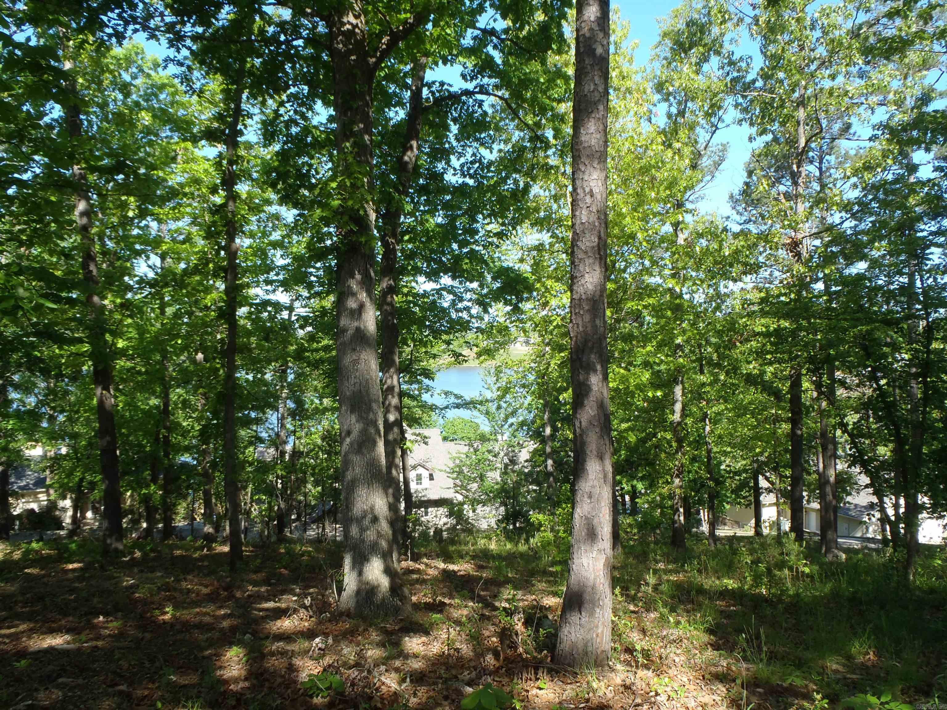 Driftwood Point - Land