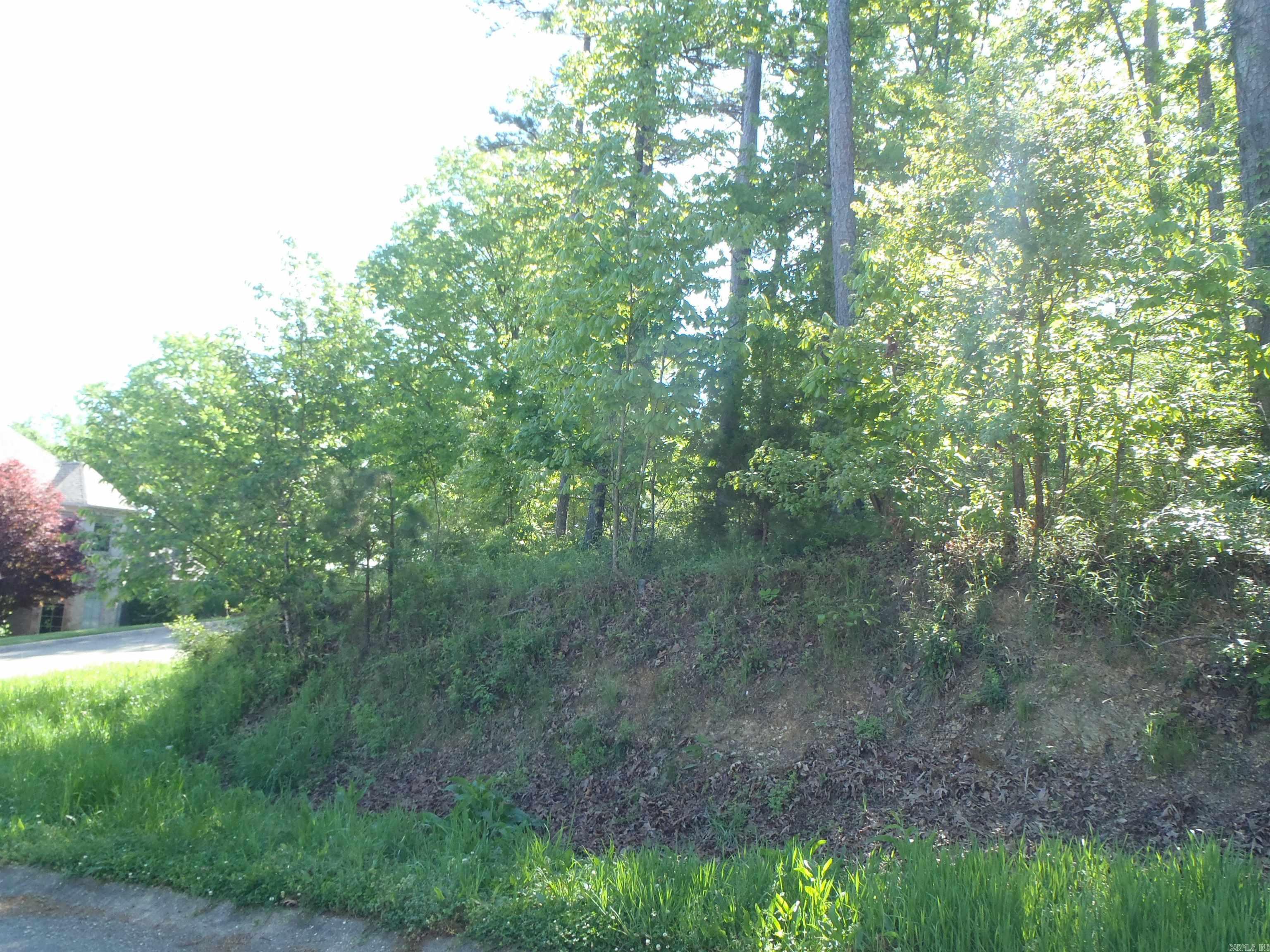 Driftwood Point - Land