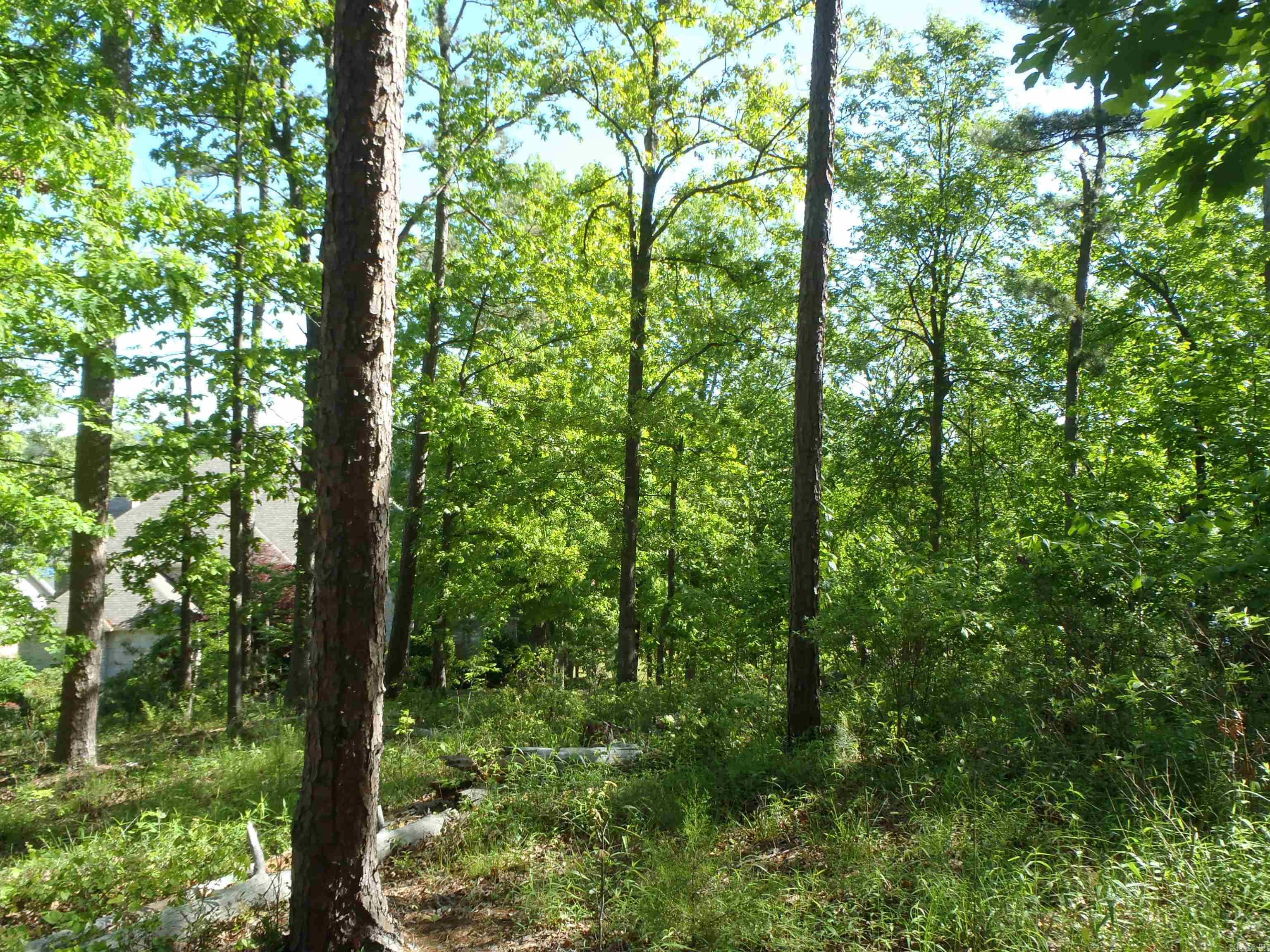 Driftwood Point - Land