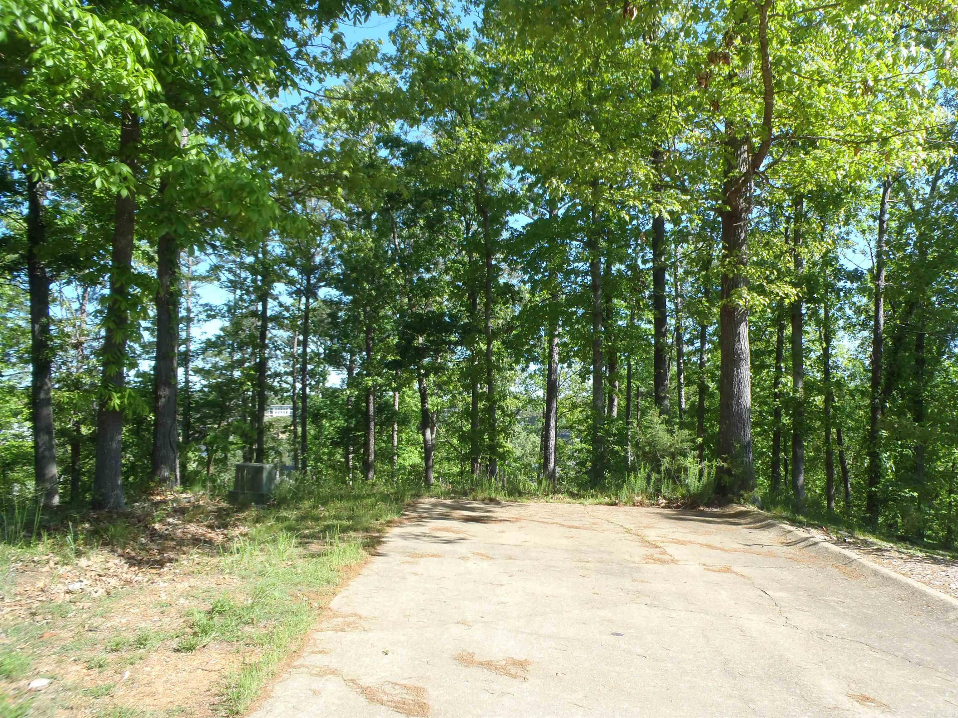 Driftwood Point - Land