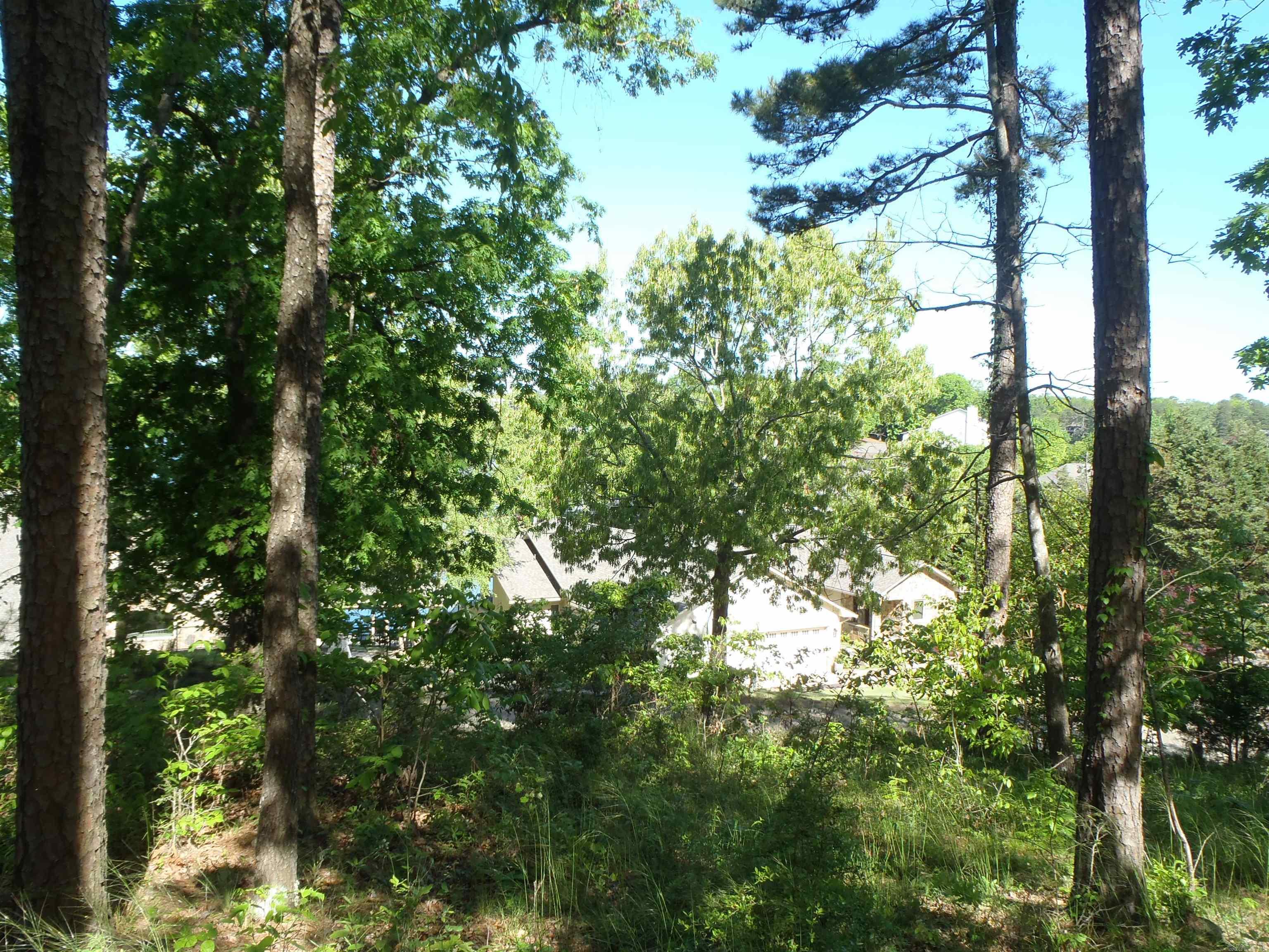 Driftwood Point - Land