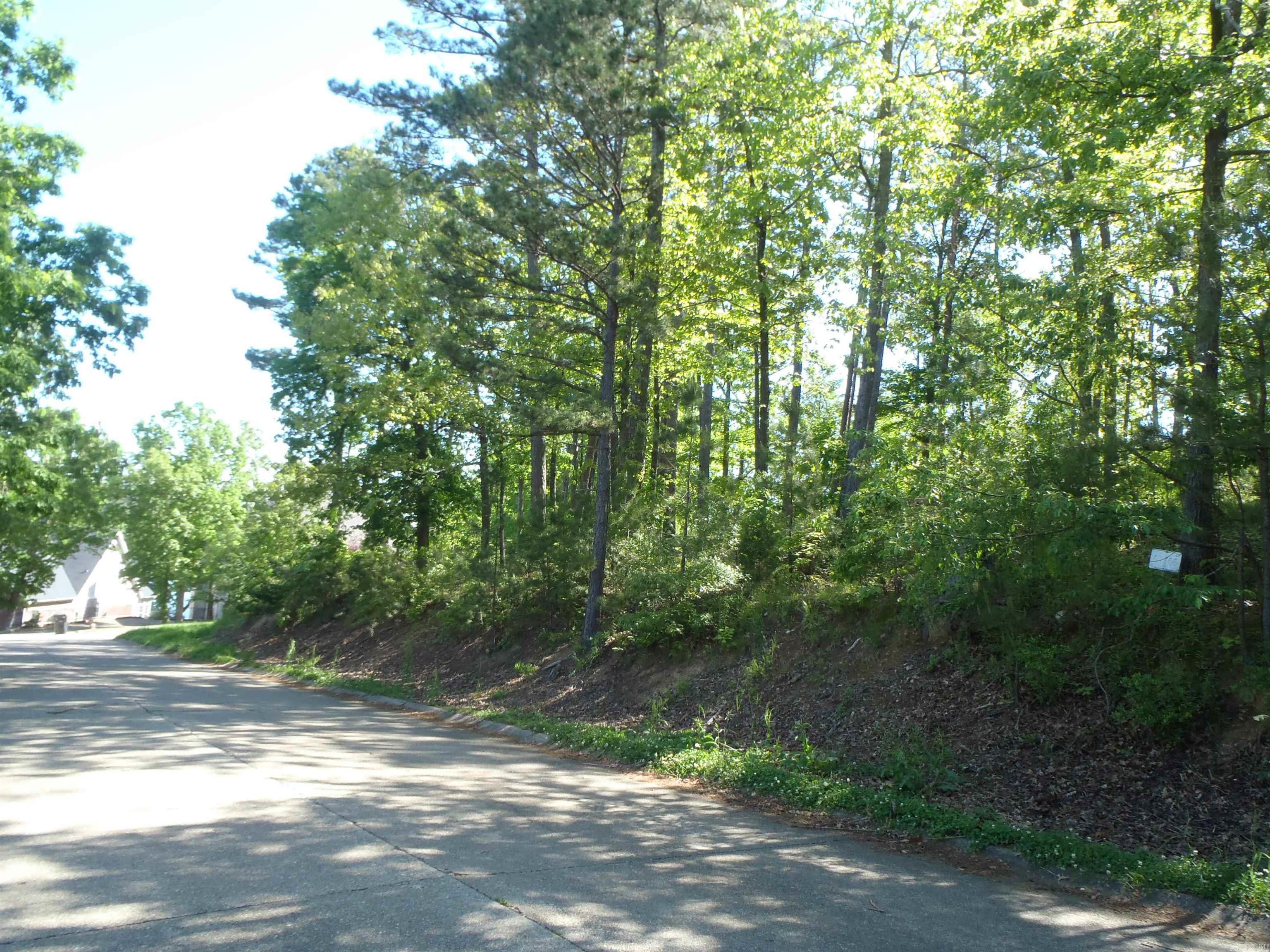 Driftwood Point - Land