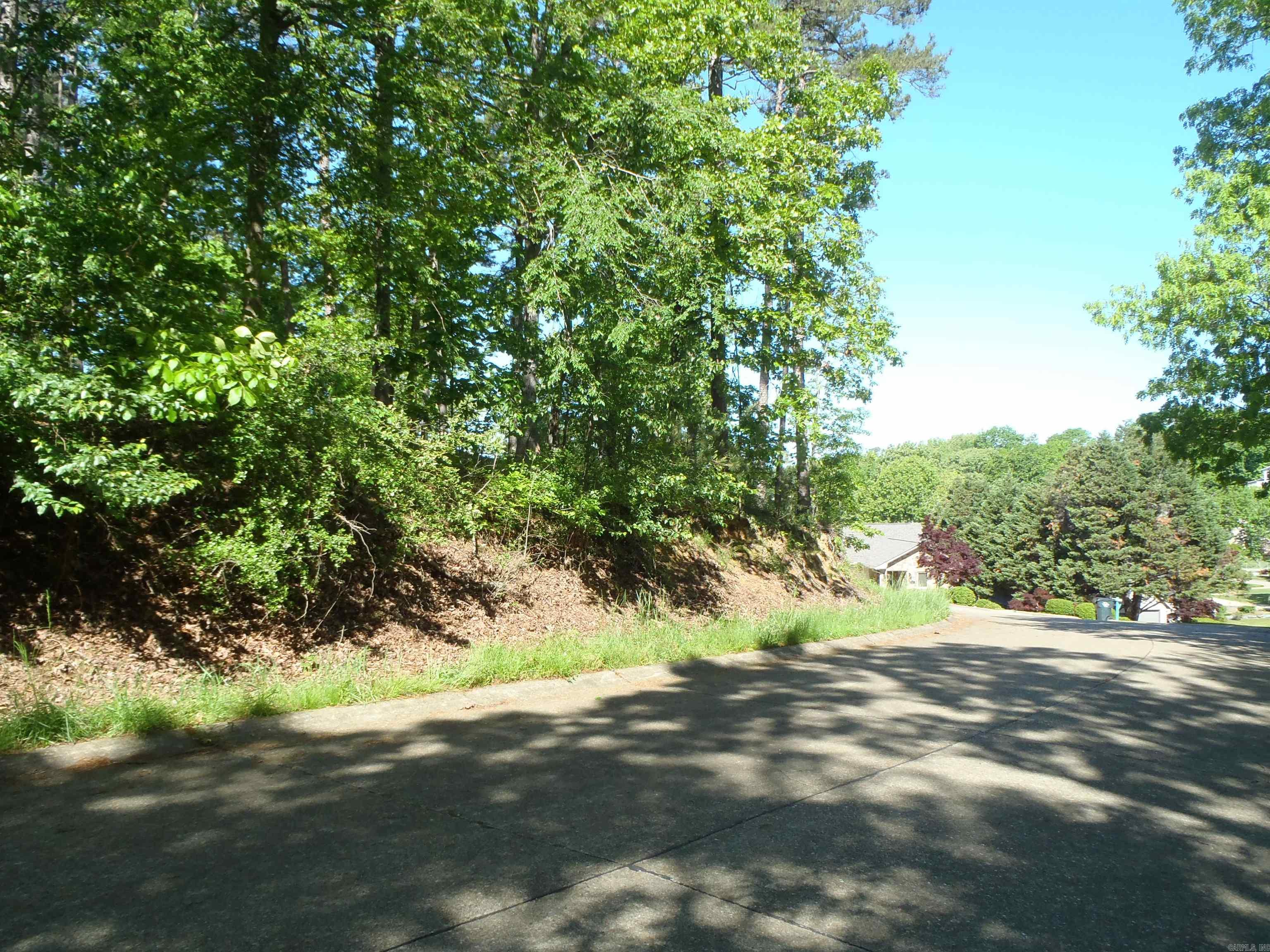 Driftwood Point - Land