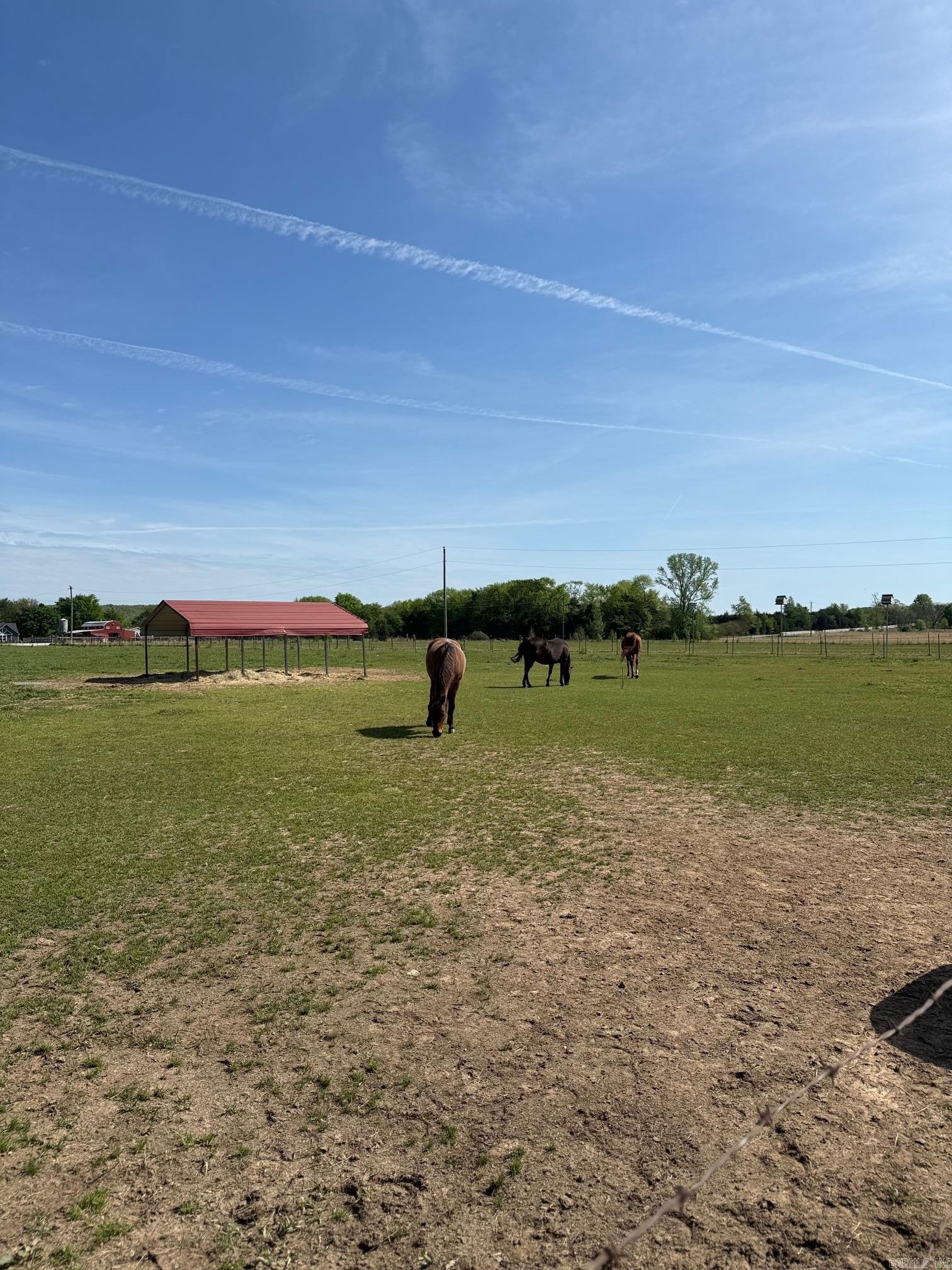 ELLEN ACRES - Residential