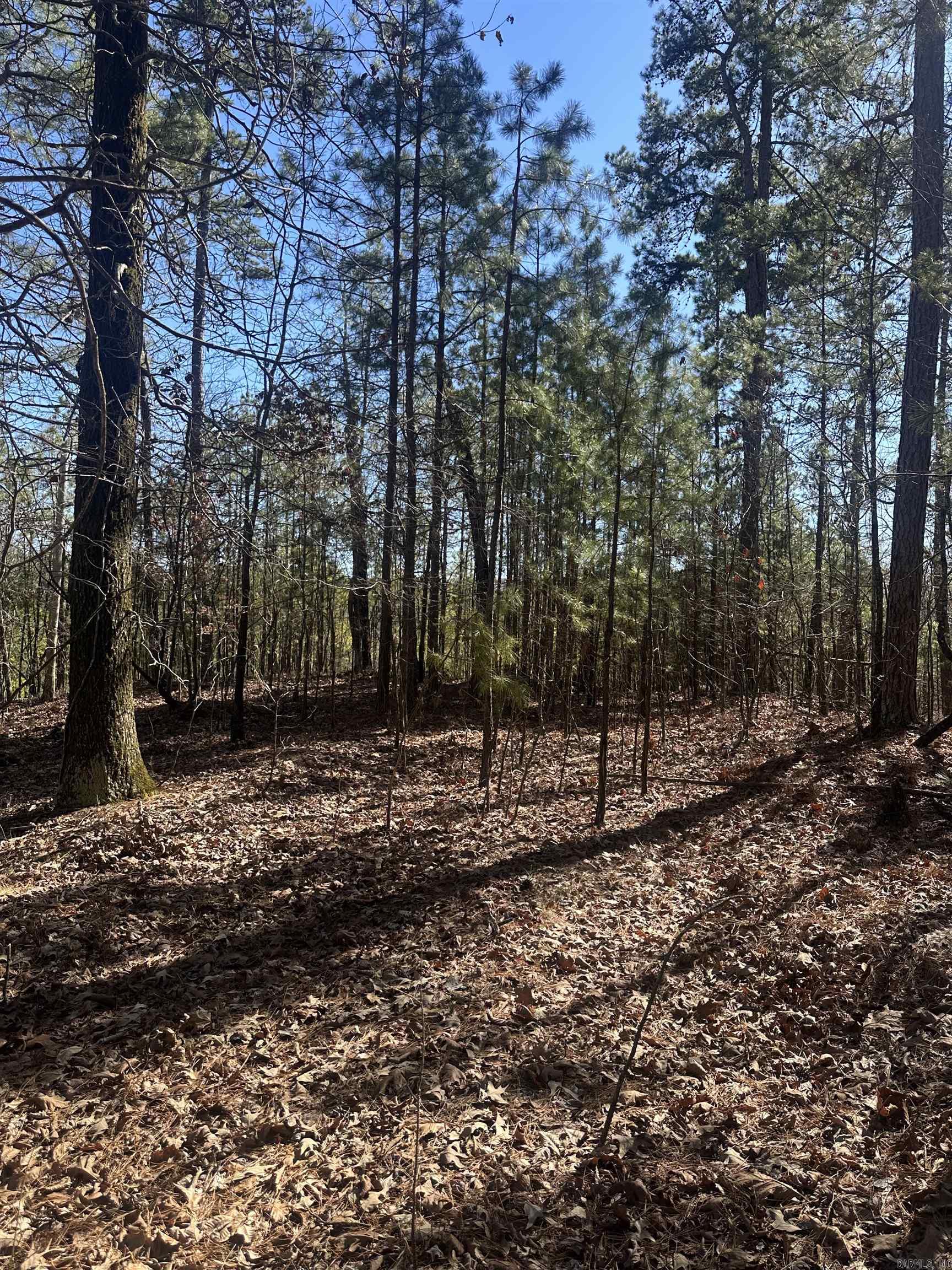 Metes & Bounds - Land