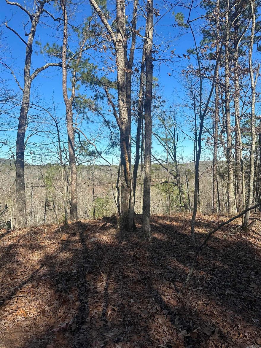 If you’re looking for a secluded spot to build your dream home—yet still want to be just minutes from the amenities of Hot Springs Village and nearby Walmart—this 19-acre tract is the perfect choice. Featuring mature woods and a peaceful seasonal creek, the property offers both privacy and natural beauty, with abundant wildlife including frequent deer sightings, making it a true nature lover’s retreat.  Utilities are not currently on the property, but electric and water are conveniently located at the edge of the property for easy access. **An additional 19-acre parcel is available next door if you’re looking to expand your space.**  Come explore the possibilities—see survey attached. Agents—see remarks.