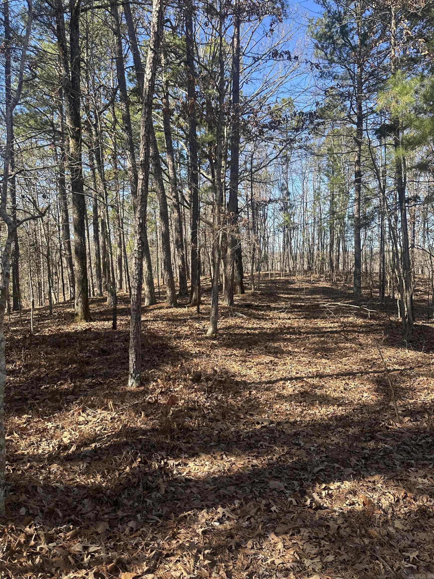 Metes & Bounds - Land