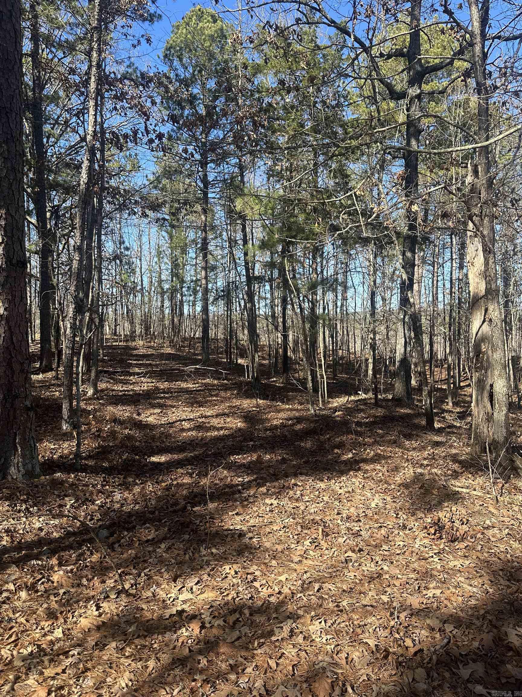 Metes & Bounds - Land