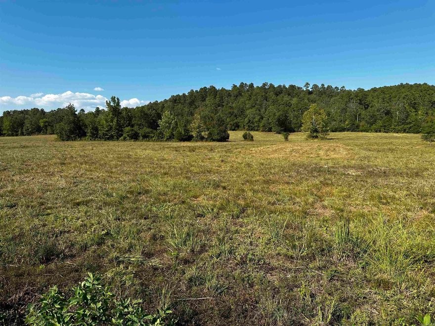 Relax in Nature and enjoy the peace and quiet. There is a common area of 2.67 acres within walking distance with a swimming hole and your fishing enjoyment.                                                                                                                                         Reva's Retreat is surrounded by the National Forest and Irons Fork Creek, 1 mile N of Lake Ouachita + 2 mi. from Launching ramp.  The beautiful 100 acre development offers seclusion, unblemished, back-to-nature, spacious lots -  River access w/some restrictions, incredible views, and underground electric.  Fishing, kayaking, swimming, nature walks + trailhead for hiking are nearby, as well as amenities at HSV & Mt. Ida.