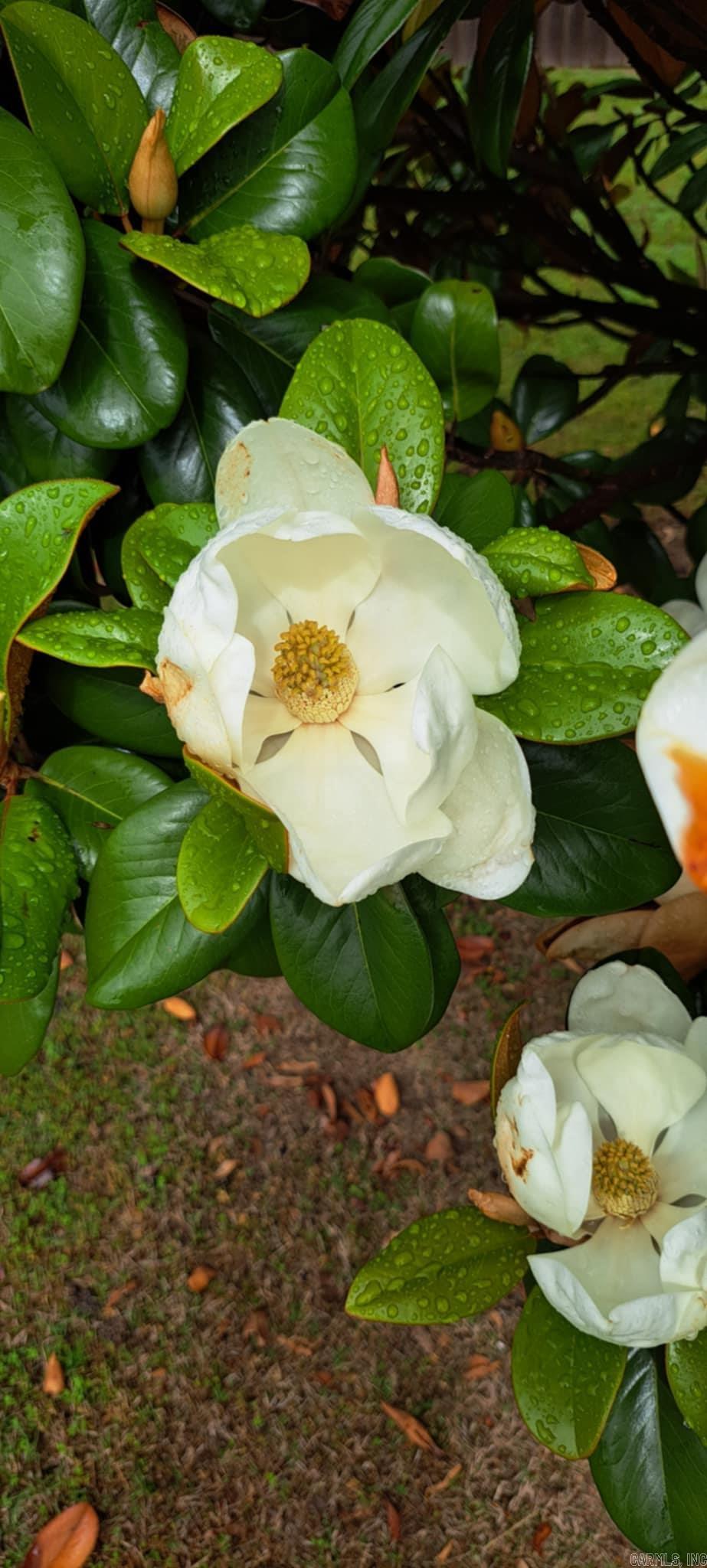 HUNTINGTON ESTATES - Residential