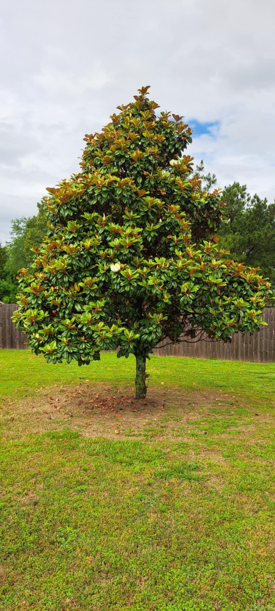 HUNTINGTON ESTATES - Residential