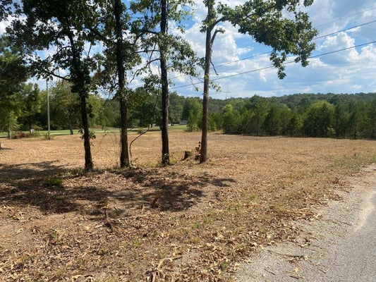 304 WEDGE RD, HORSESHOE BEND, AR 72512 - Image 885e679f166f9f29afee0e8efe3ca186/3946557282