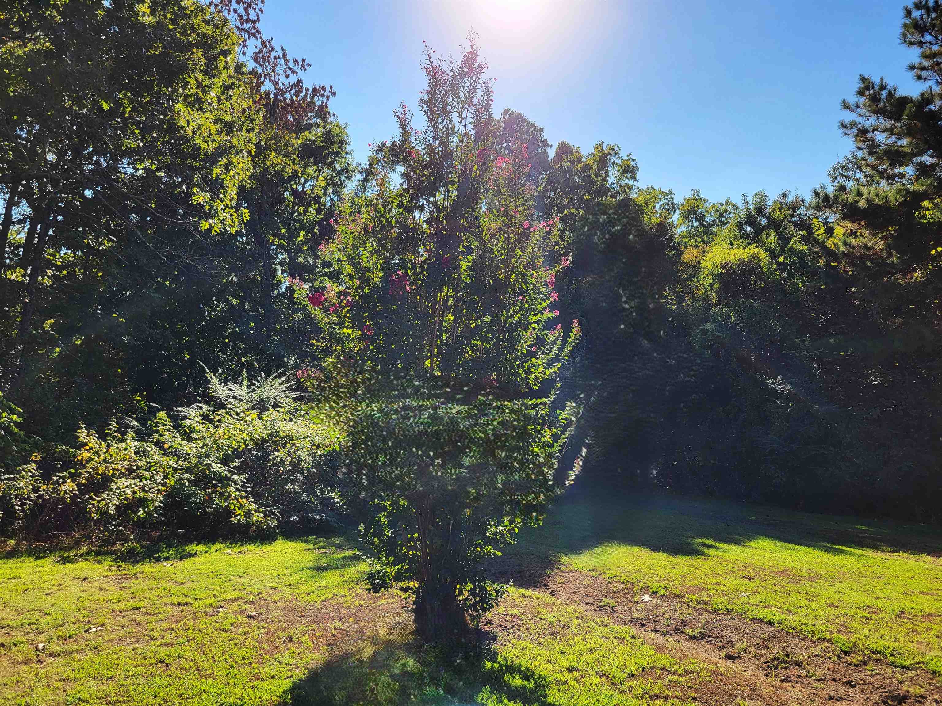 Scenic Acres - Residential