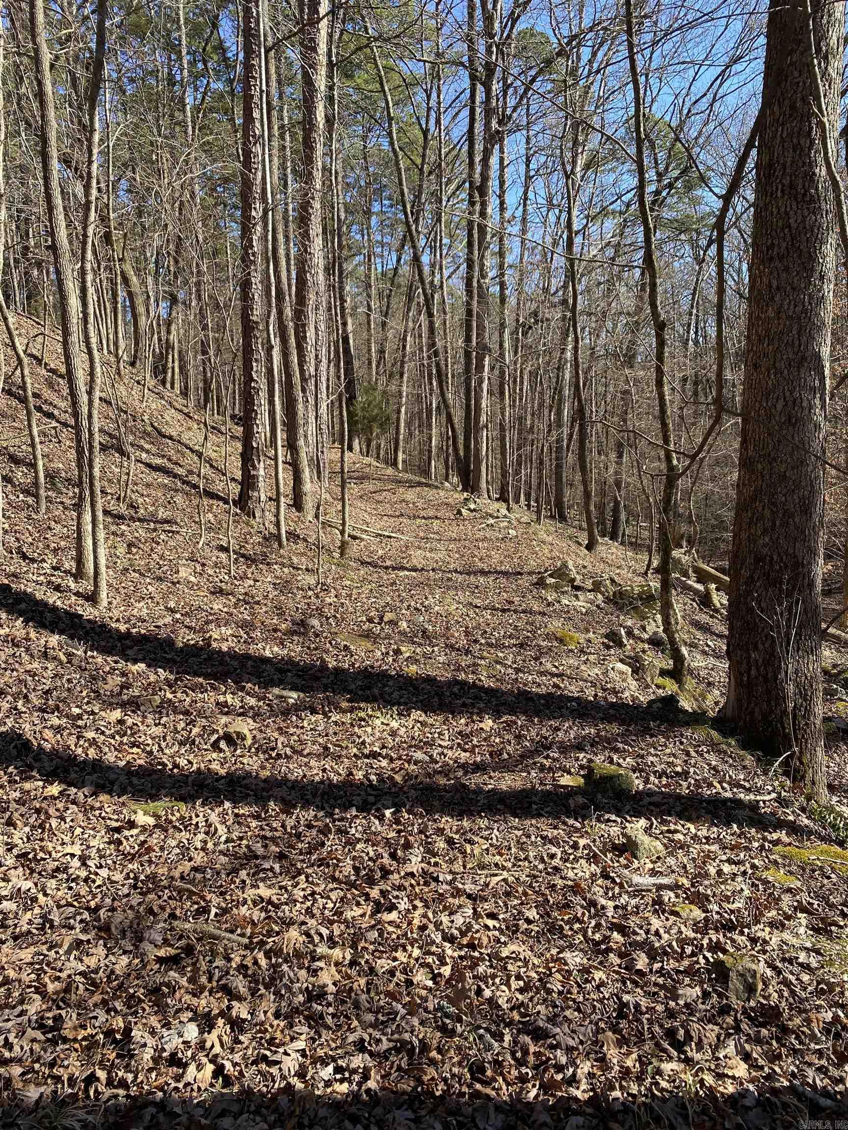 Hickory Nut Mountain Estates - Residential