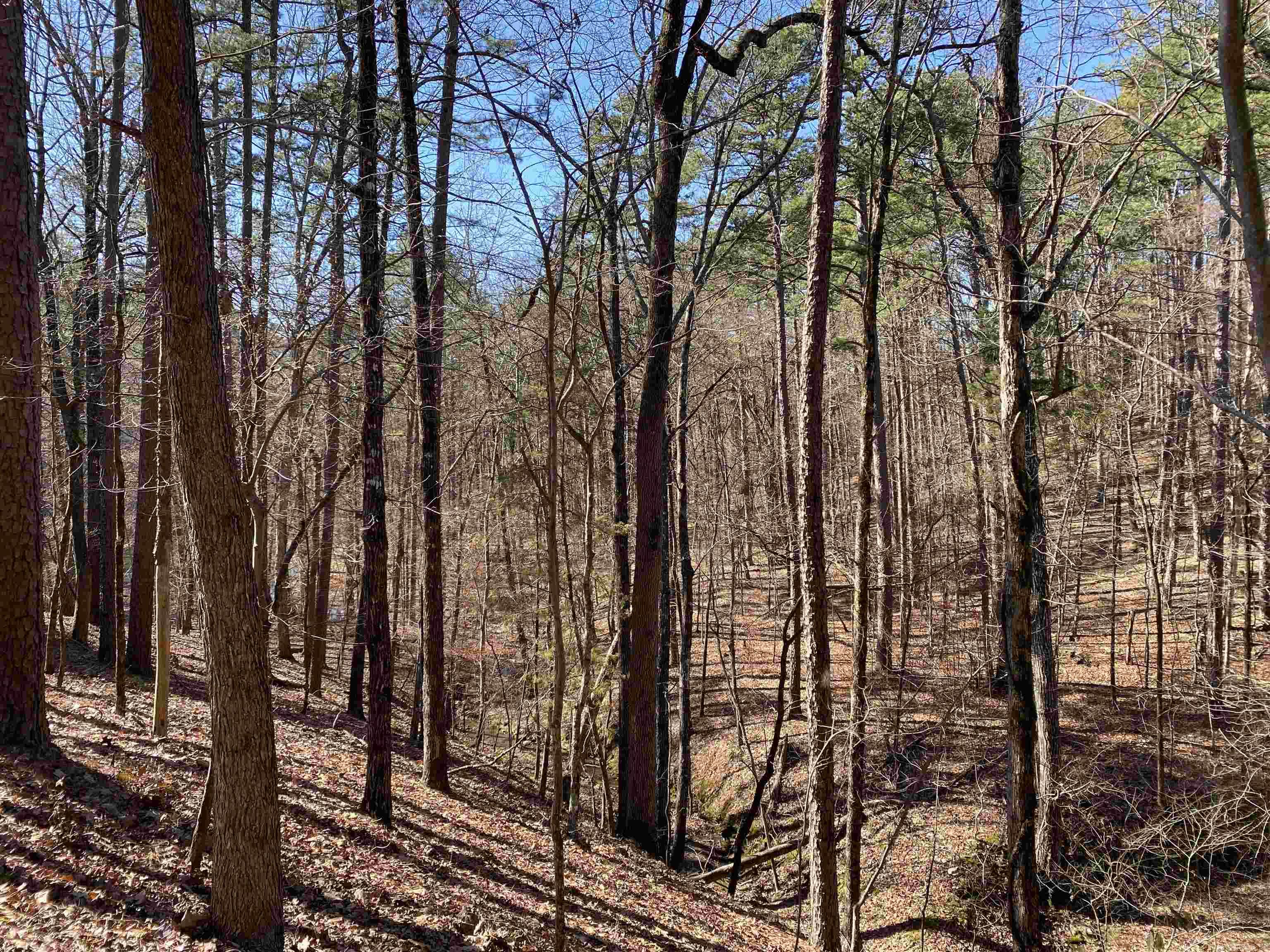 Hickory Nut Mountain Estates - Residential