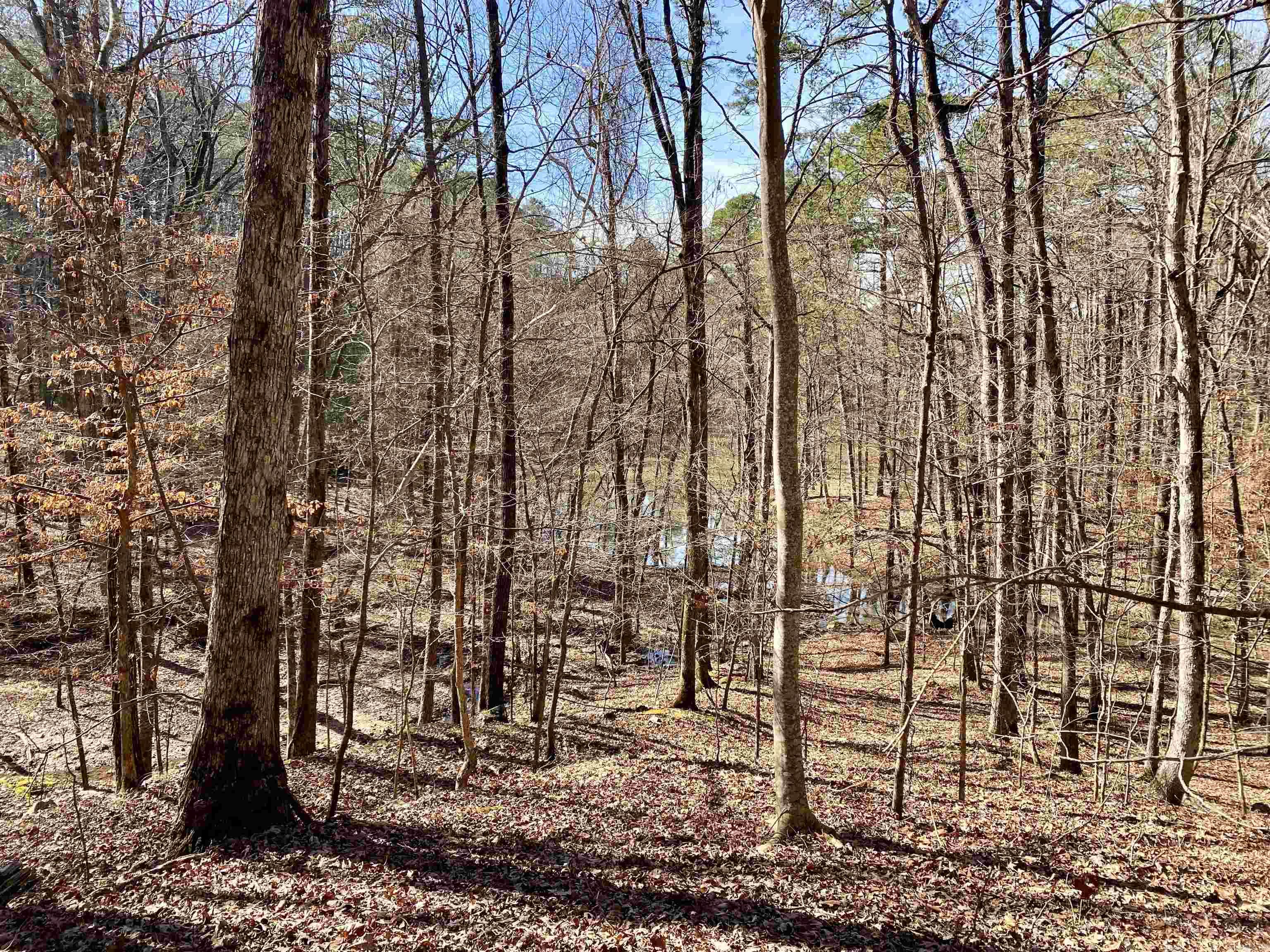 Hickory Nut Mountain Estates - Residential