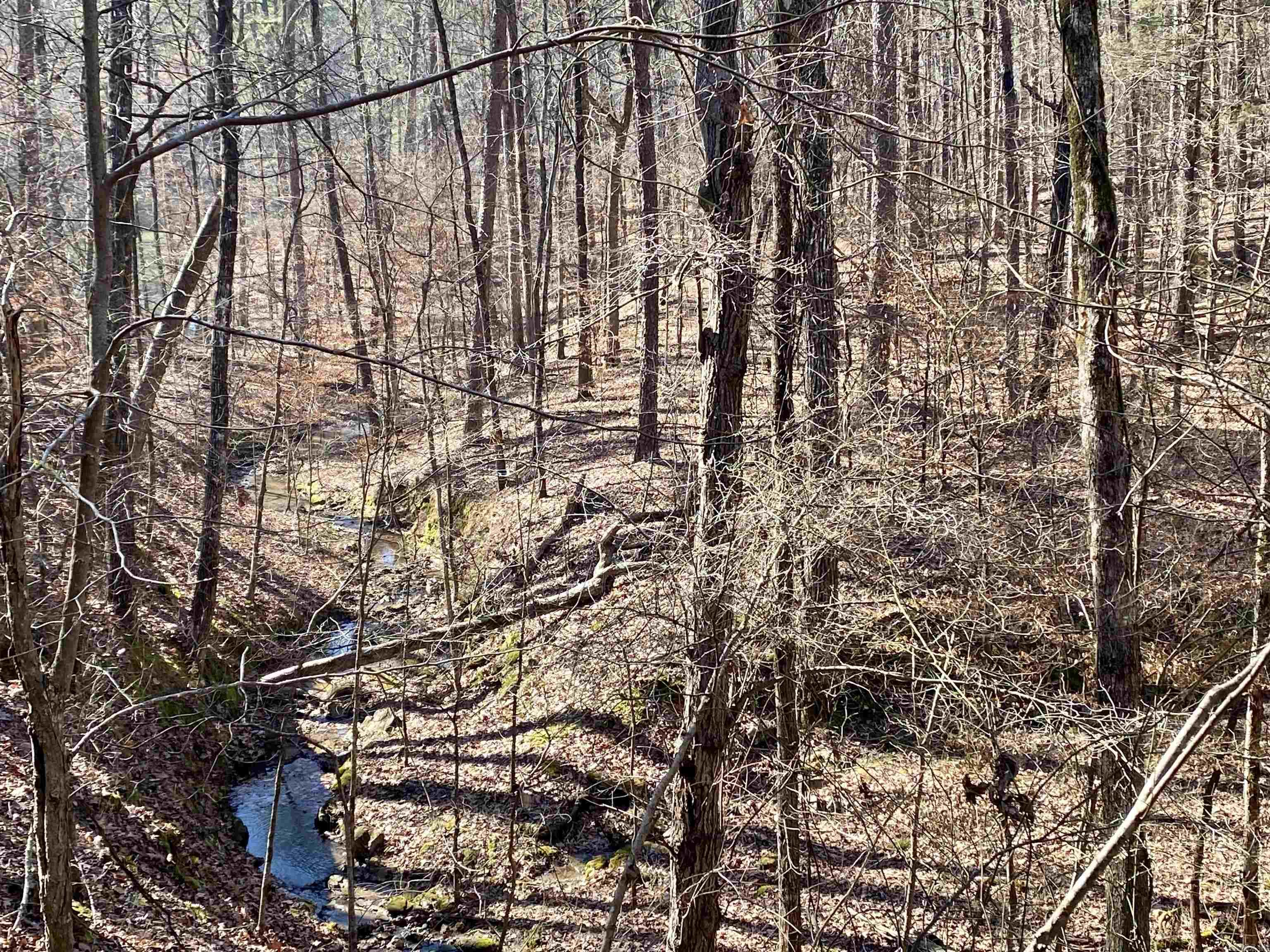 Hickory Nut Mountain Estates - Residential