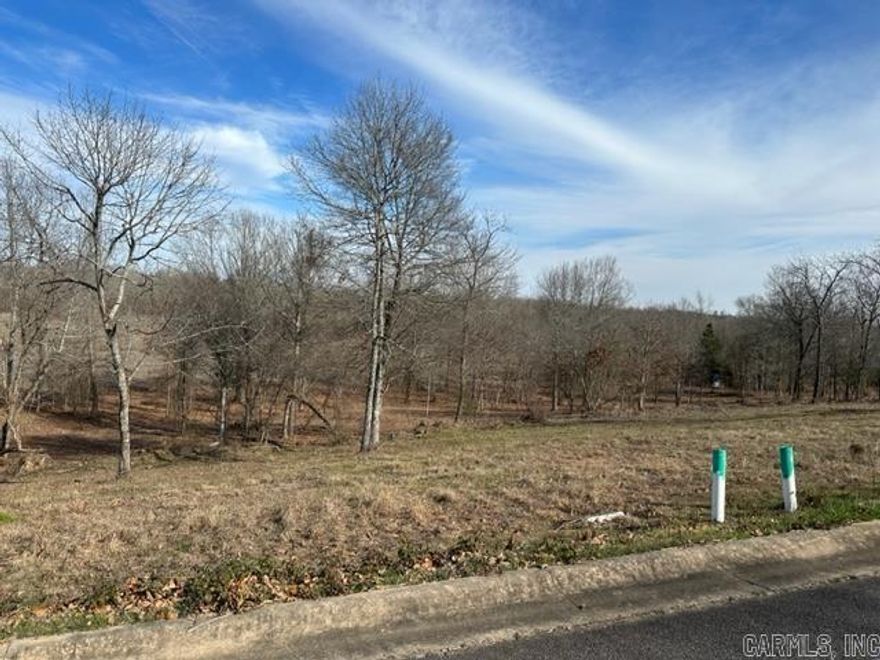 Welcome to your new lot to build your dream home. Located in Phase III of the River Plantation subdivision. Architectural Control Committee and a minimum 1750 sq ft required. Sq. Ft. approx. measuring encouraged. More photos coming soon!