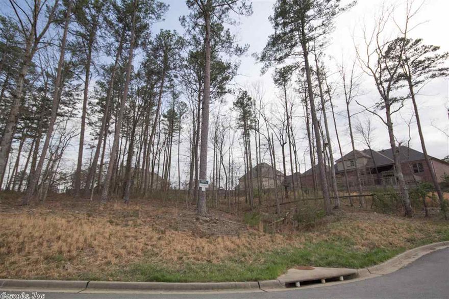 One of the remaining lots Chenal's newest neighborhood.  Cul-de-sac with side greenbelt.  This is a very popular neighborhood offering great appeal.  Located in the new Chenal Valley Elementry School District.  Call Chenal Properties for plat, forms and building restrictions.