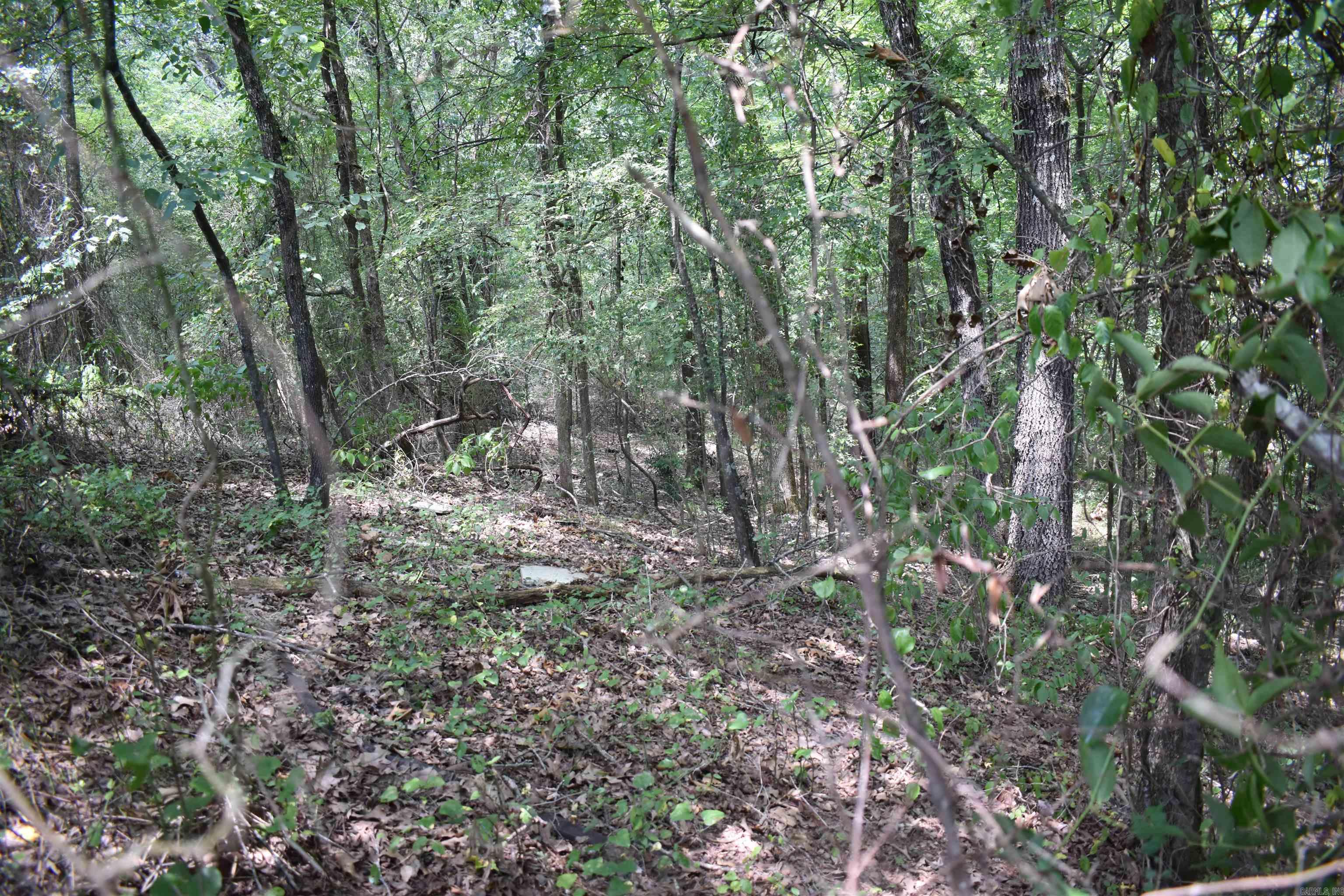 Metes & Bounds - Land