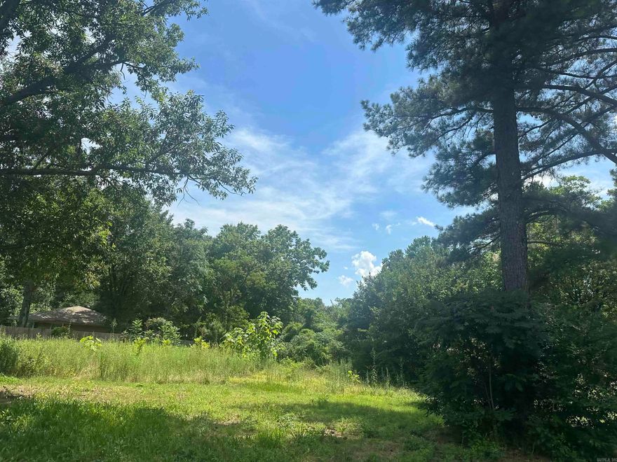 If you're searching for the perfect place to build your dream home, a duplex, or an investment property, consider the prime city lots in Bald Knob. These five lots offer an unparalleled opportunity to bring your construction dreams to life. Each lot is spacious and flexible, providing ample room for a variety of building designs, whether you're planning a cozy single-family home or a multi-unit duplex. With the growing demand for housing in the area, these lots present a lucrative opportunity for real estate investors looking to capitalize on the market. The lots are equipped with essential utilities such as water, electricity, and sewage, ensuring a smooth construction process. Positioned in a picturesque area, they offer beautiful views of the surrounding landscape, enhancing the allure of your future property. Lets go take a look today!