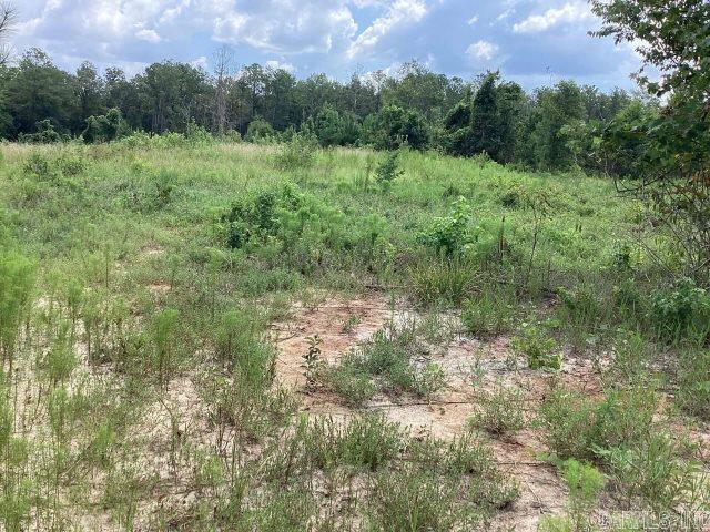Property on the west side backs up to Fairway Drive in Persimmon Ridge Resort (formally Persimmon Ridge Golf Course) Mineral right do NOT convey. Easement onto the property is off of Caroline Drive.