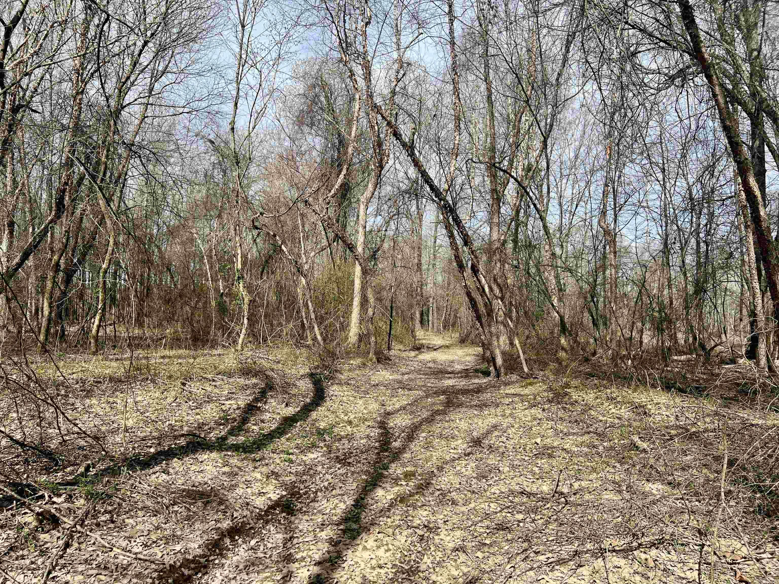 Metes & Bounds - Land