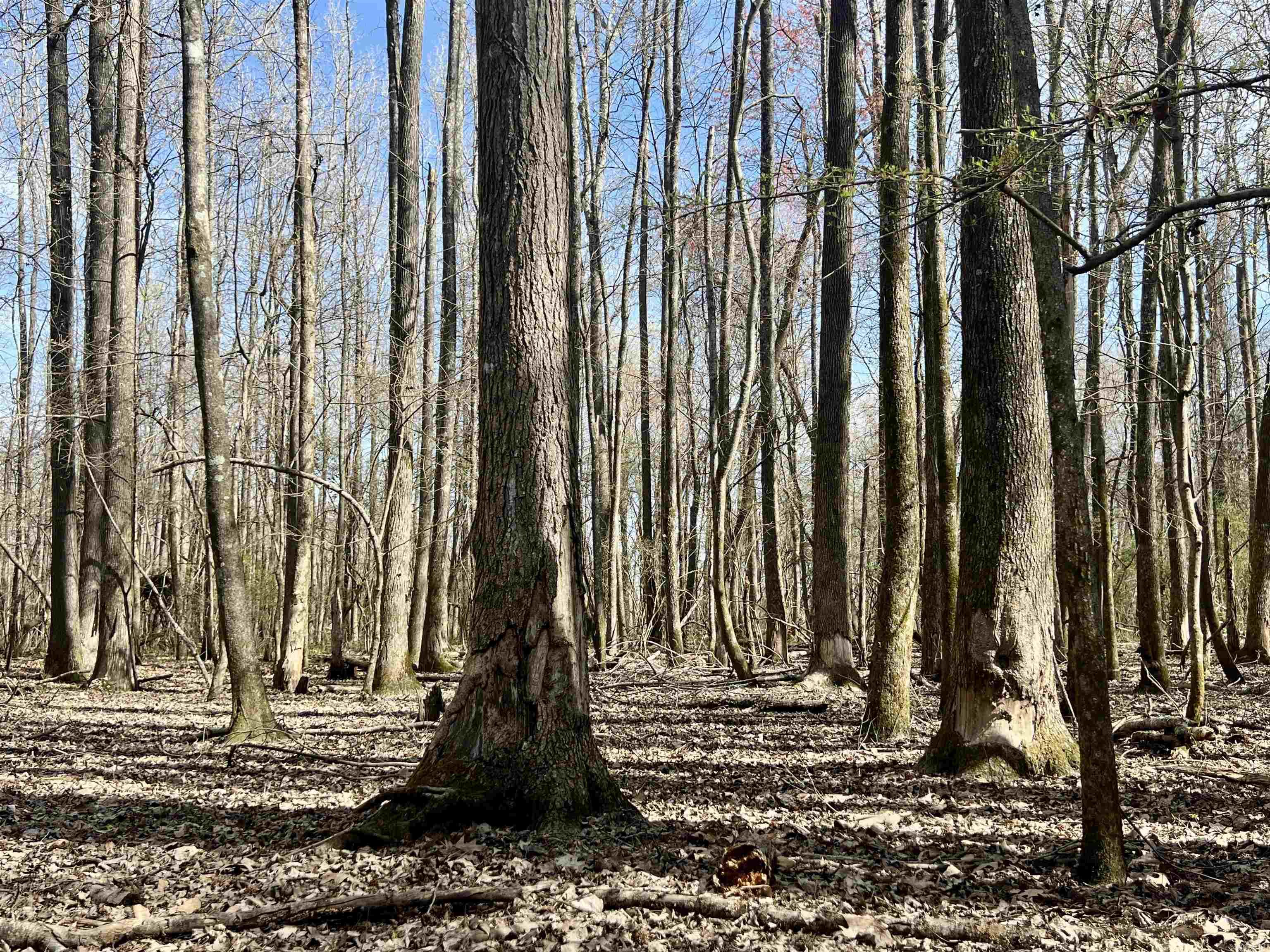 Metes & Bounds - Land