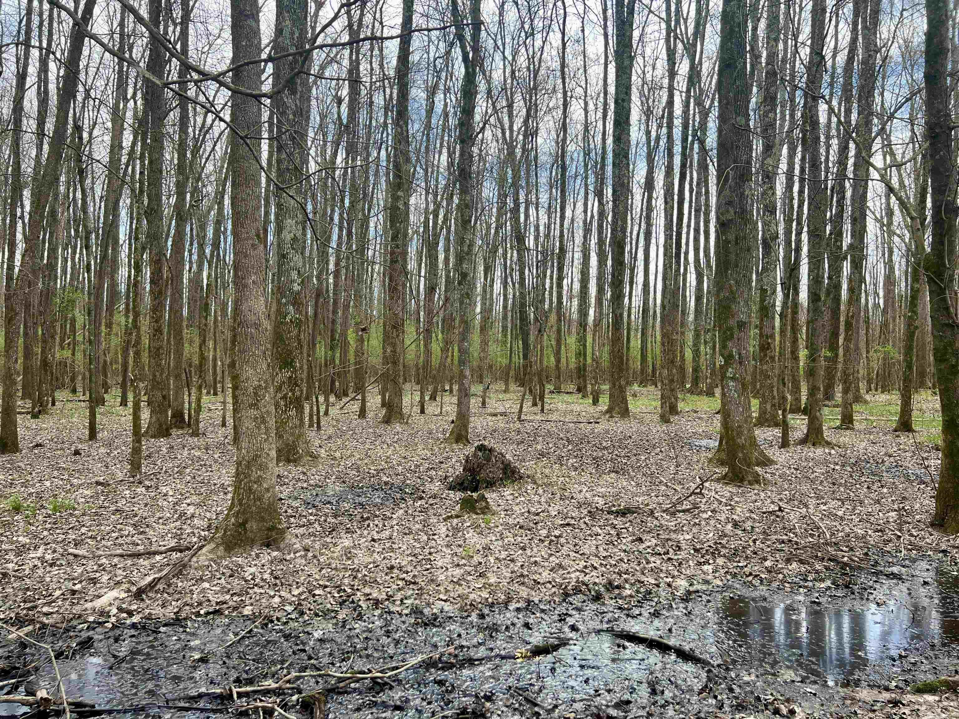 Metes & Bounds - Land