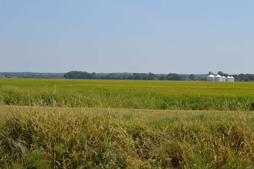 Income Producing Farm Land in Poinsett County