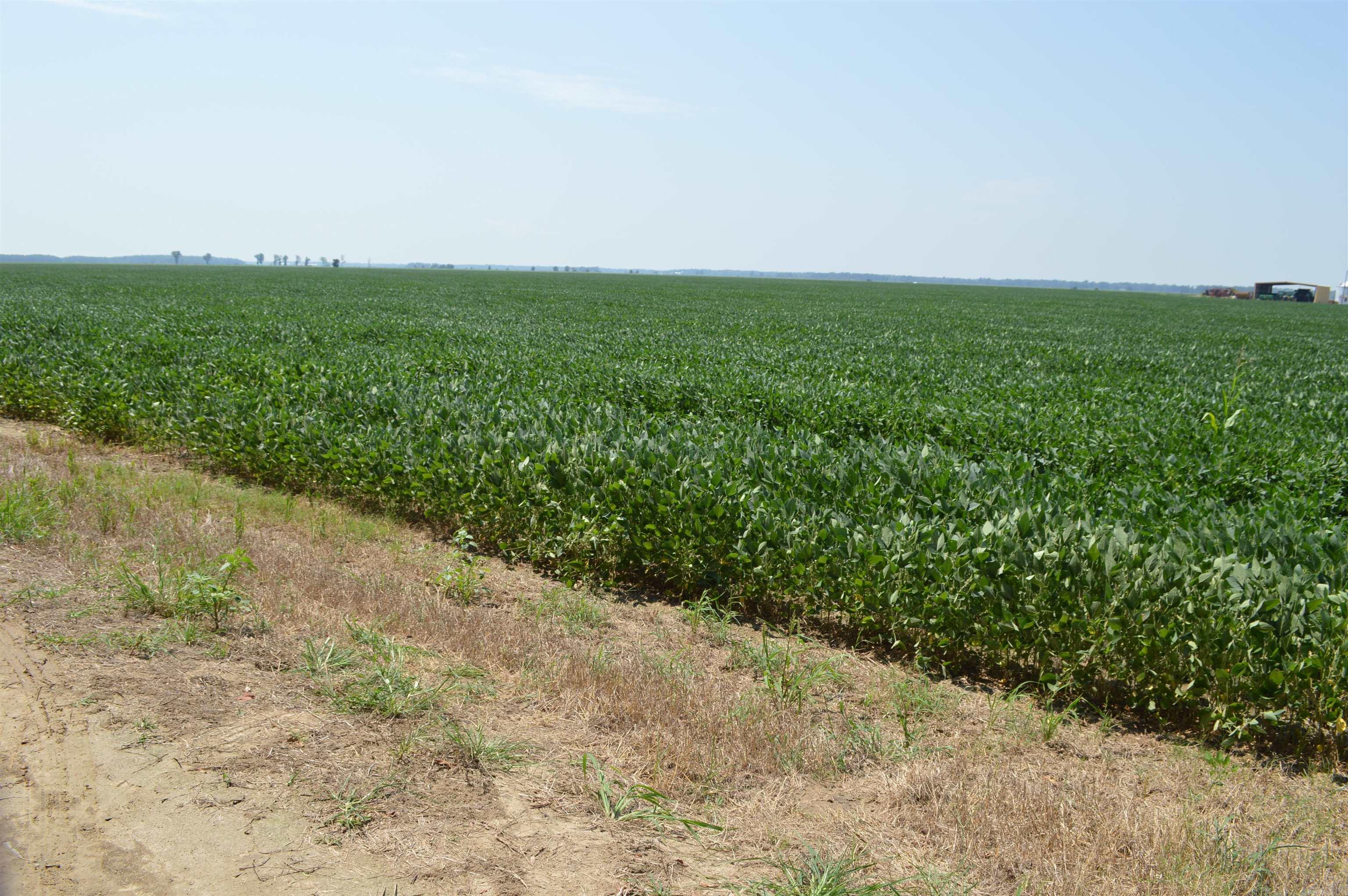 Metes & Bounds - Farm