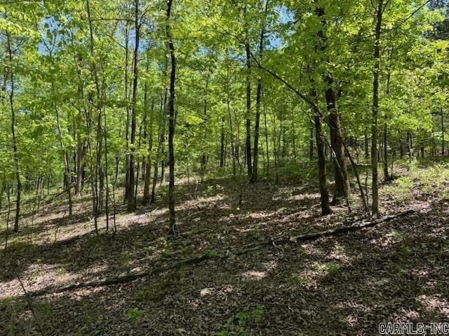 Brushy Mountain - Land