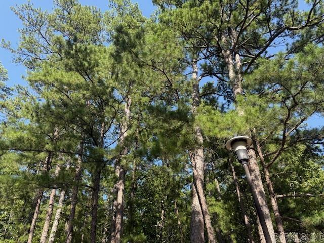 Corner lot, treed and gentle slope