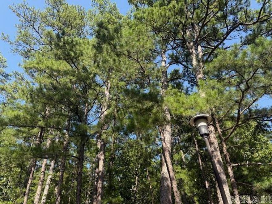 Corner lot, treed and gentle slope