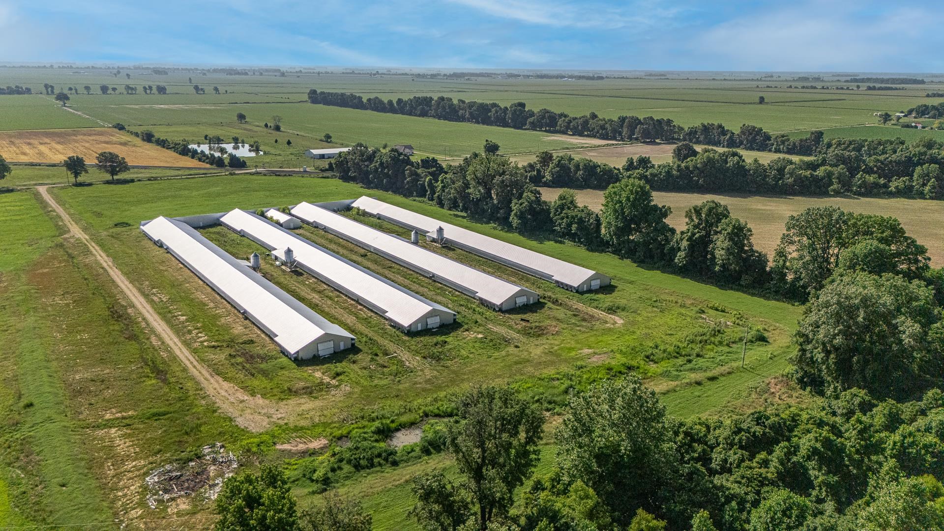 Fully Equipped Chicken Farm operation designed for productivity and ease on approx. 10-15 acres. Built in 2022 this farm features 4 - 42 x 500 state of the art breeder houses outfitted with modern poultry technology. Complete with an egg haul and lift, Automated egg packer with extra parts for the conveyor, Diesel Motor Generators as well as power ran directly to the property, Rotem System, Automation scales for streamlined production, 2 wells located on the property and a Breaker box located at every house for convenience with gravel/rock drives accessible by Semi's/Trucks/Etc. This farm is idea for serious agricultural investors or farmers looking to expand into a breeder poultry farm.