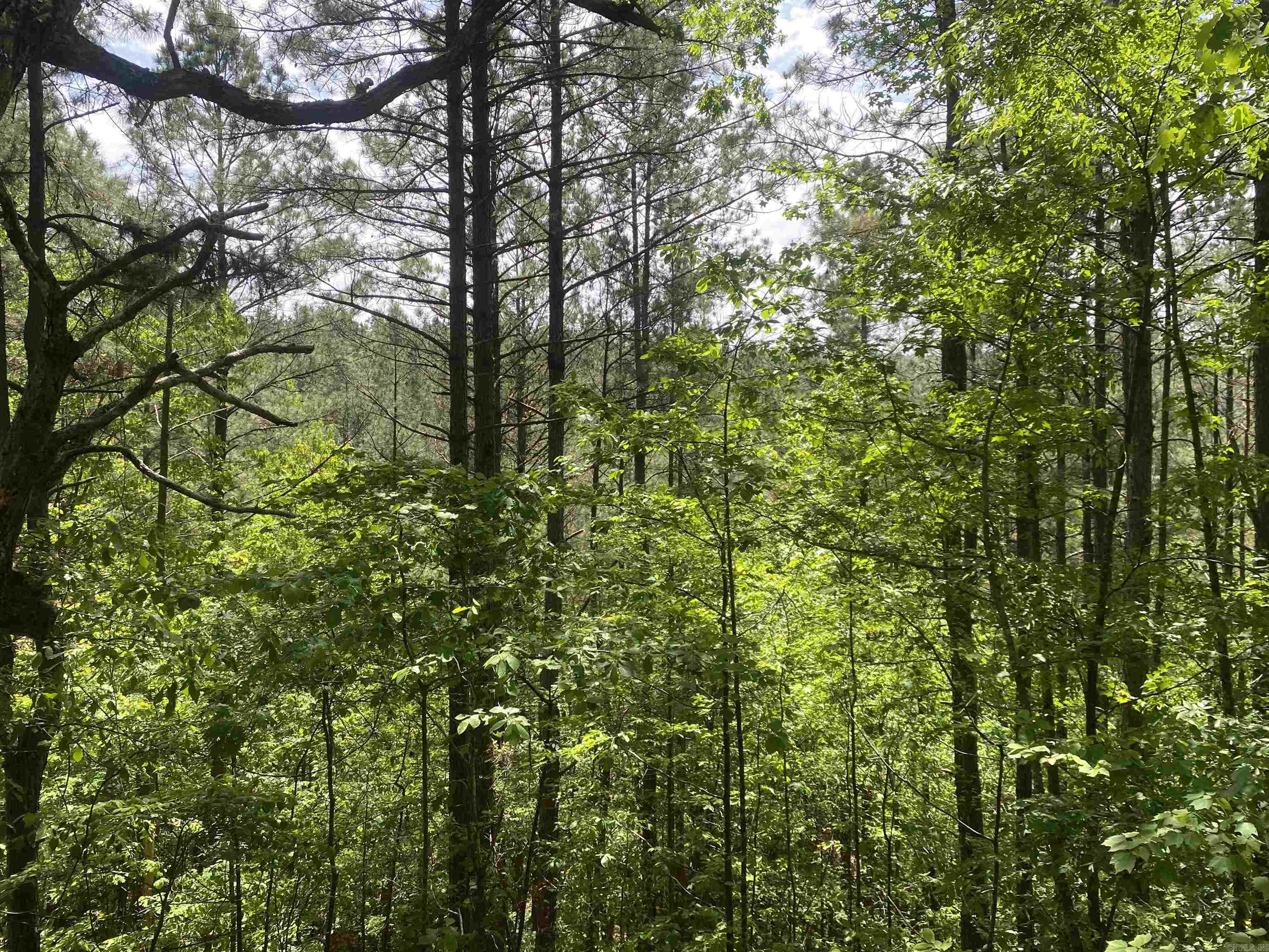 Mount Ida - Residential