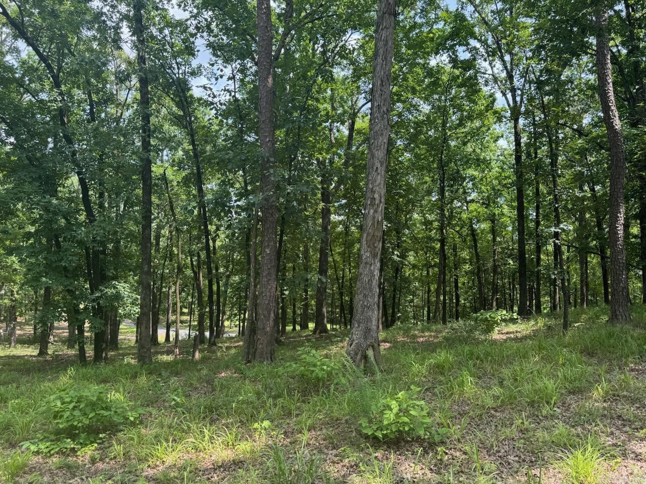 Picture Perfect Residential 3.13 acres all set for building your dream home. Lot is turnkey with 400 amp power, 1" water main, septic permit, and pad ready. Land is wooded with a small pond, and partially fenced. Parcel has been surveyed, and light restrictions apply.