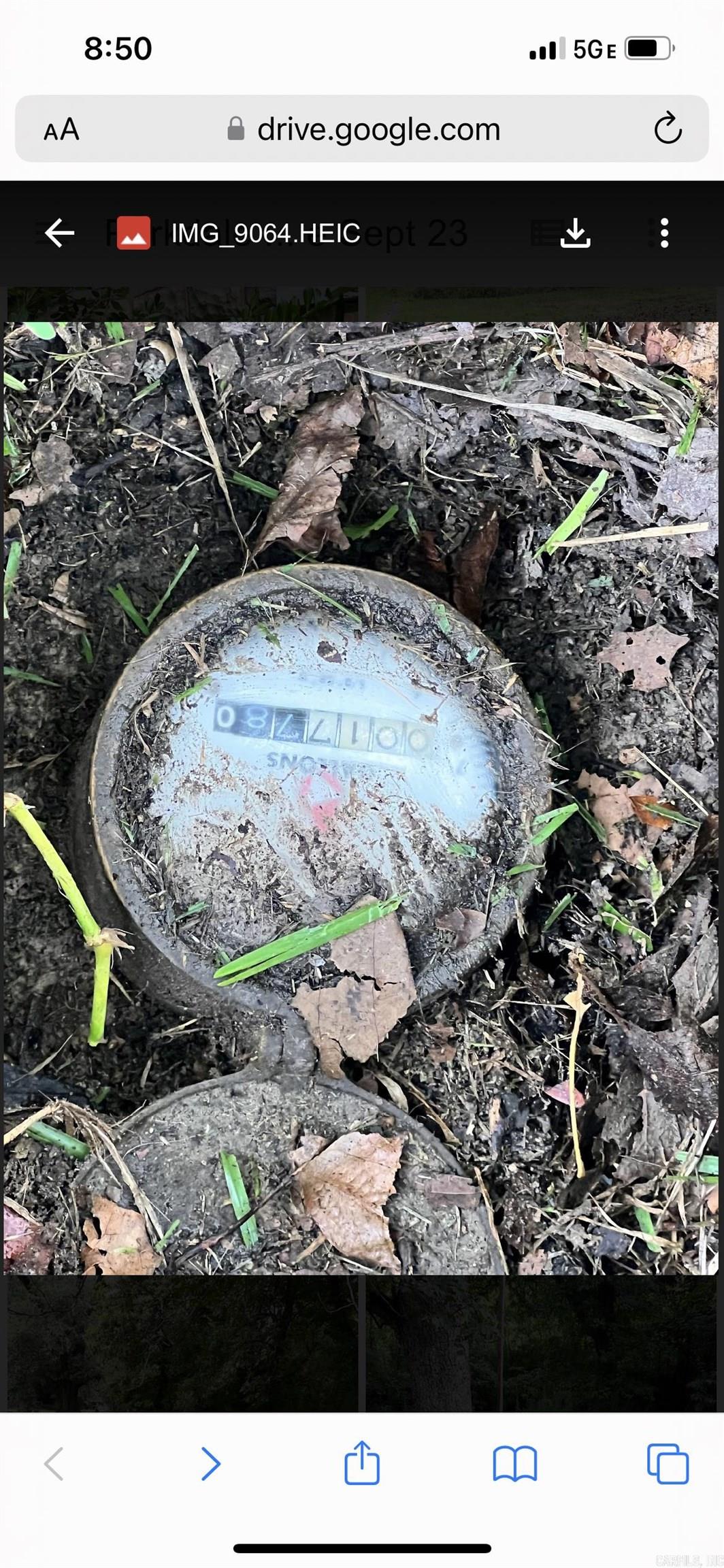 RICHARDSONS SURVEY (INCL TRACTS) - Residential