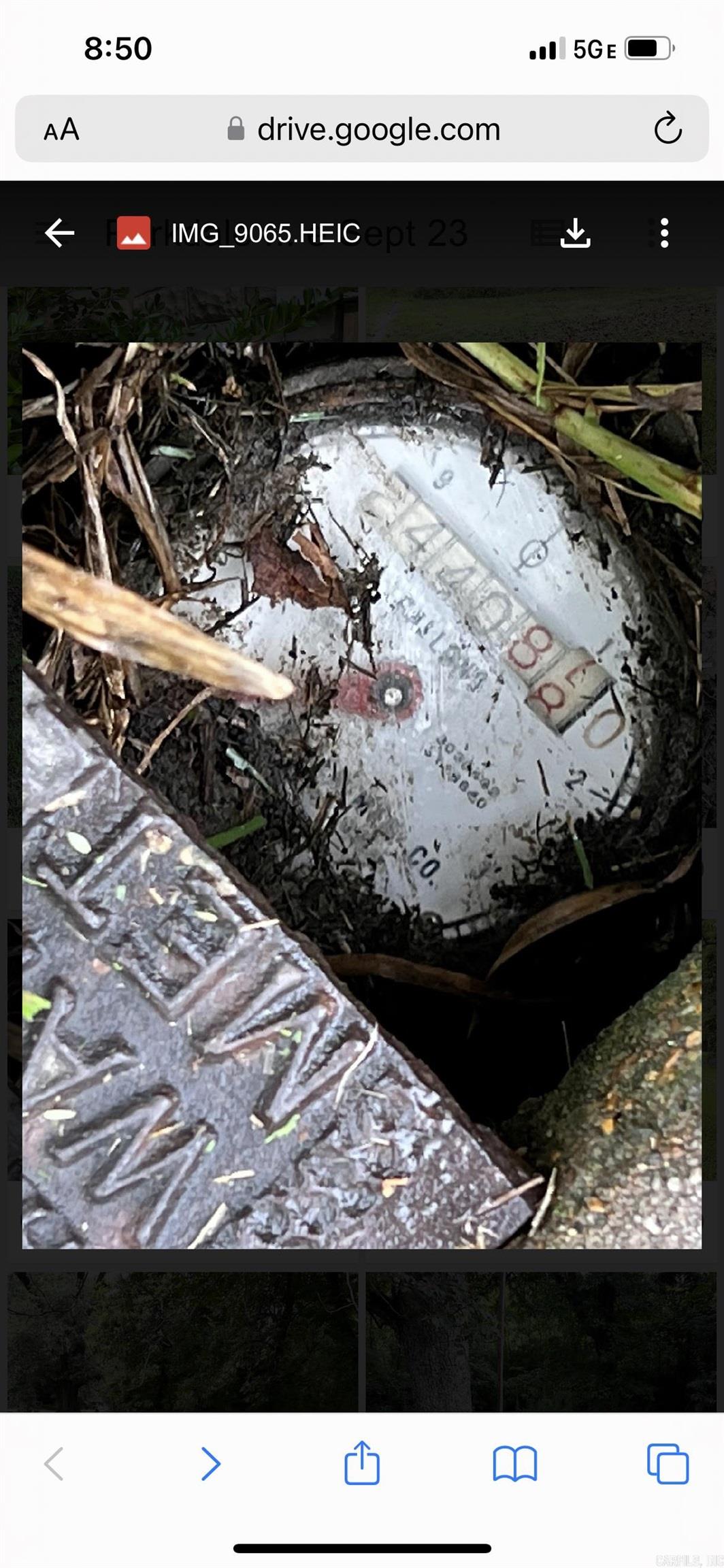 RICHARDSONS SURVEY (INCL TRACTS) - Residential