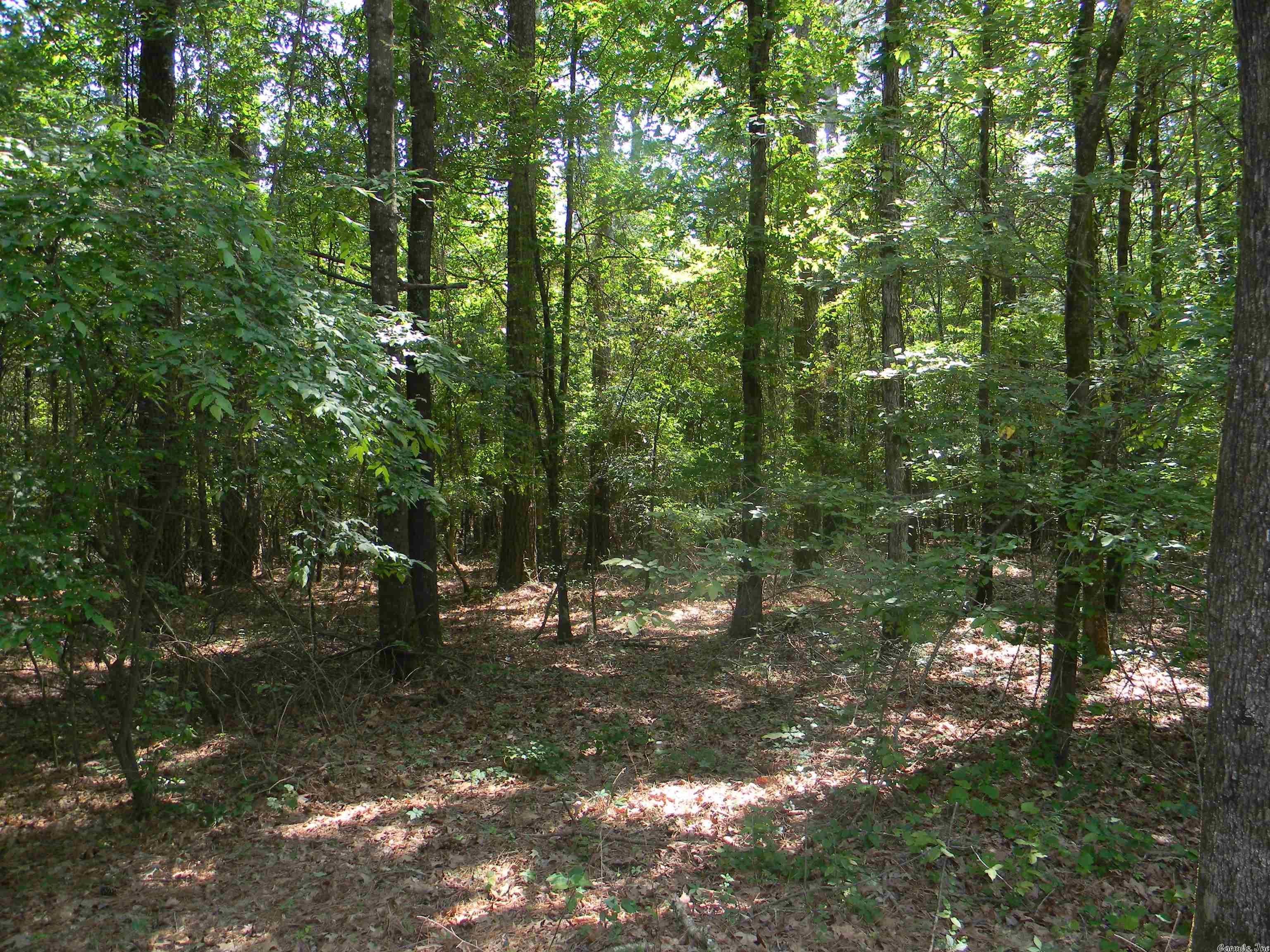 HOMESTEADERS DREAM!! Land is loaded with hardwood and Pine Timber. Perfect for building your new home or hunting. Start a farm with your own garden and raise your own livestock and animals. Located 3 1/2 miles from 530 and just 12 miles to Walmart. Ladd Water available and C&L Electric. Call us today!!