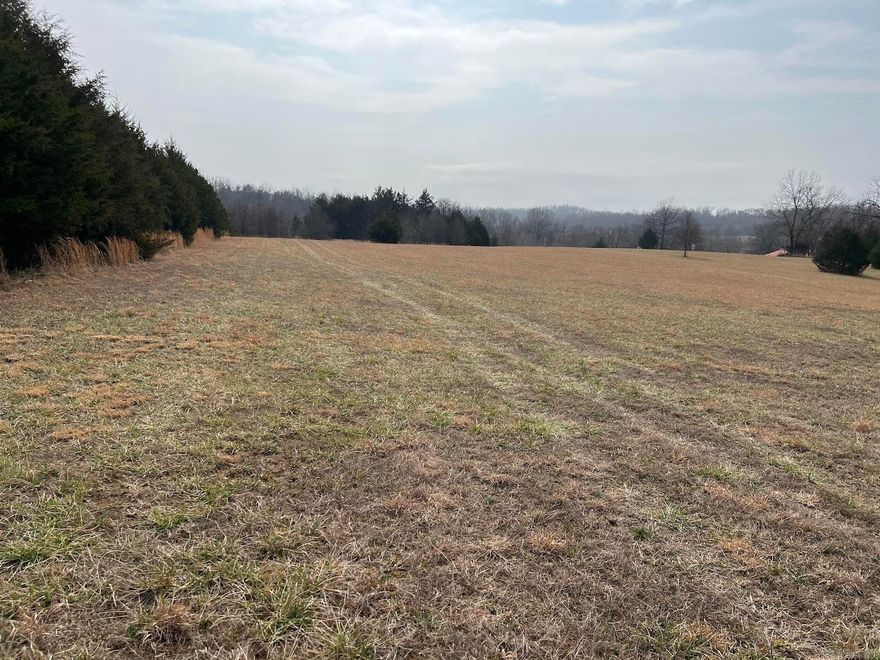 ACREAGE/SPRING RIVER AREA  Estimated 13, subject to survey and actual sale price to be determined at $7,000 per acre. This is an outstanding property mostly open with 10 or so acres for hay ground or pasture. Some in small woods. Beautiful views of surrounding country side. Access to Spring River will have to be worked out between buyer and resort owner. There are restrictions.  Estimated price subject to surveyed acreage $91,000