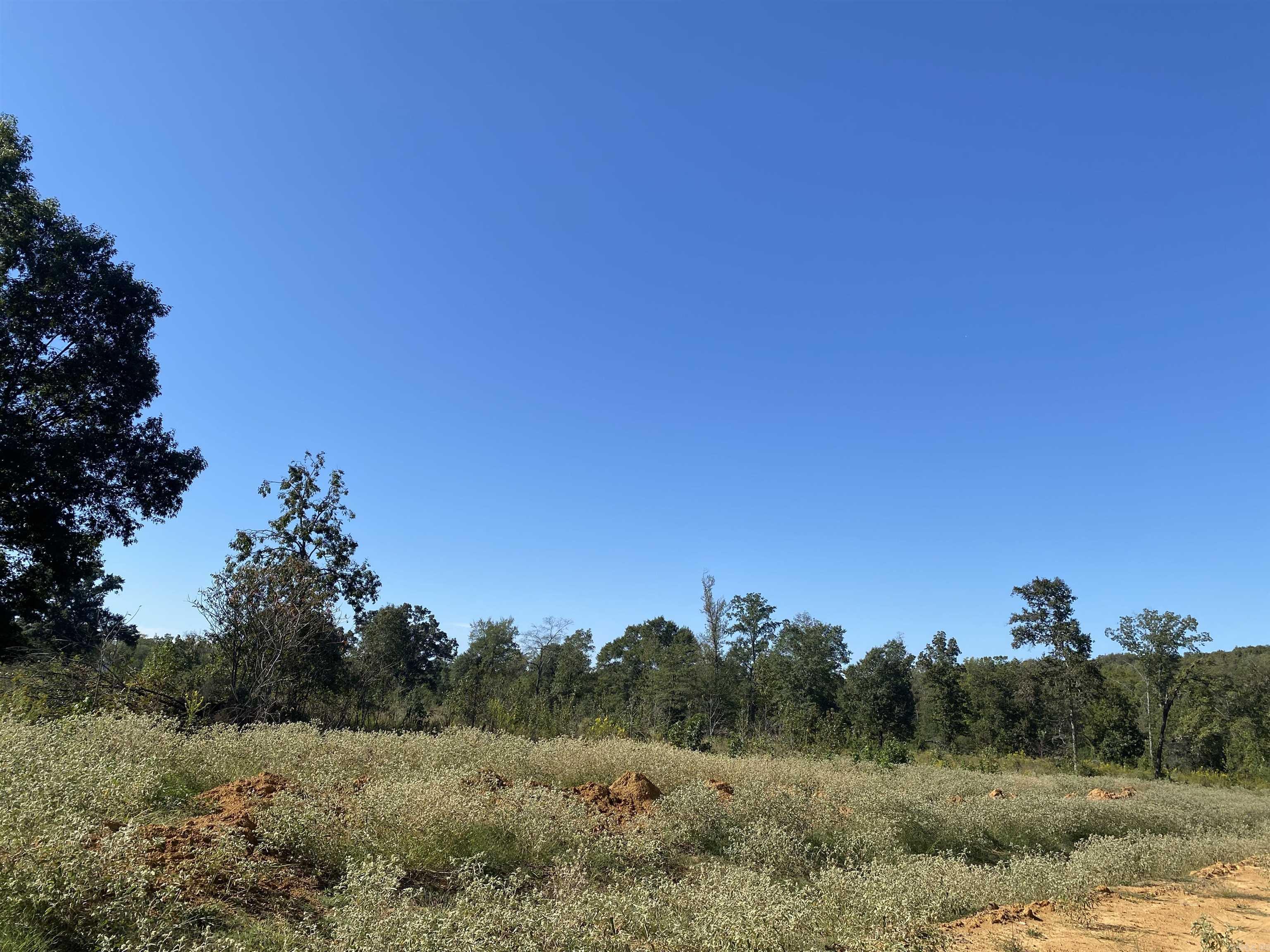 Stoney Point Springs - Land