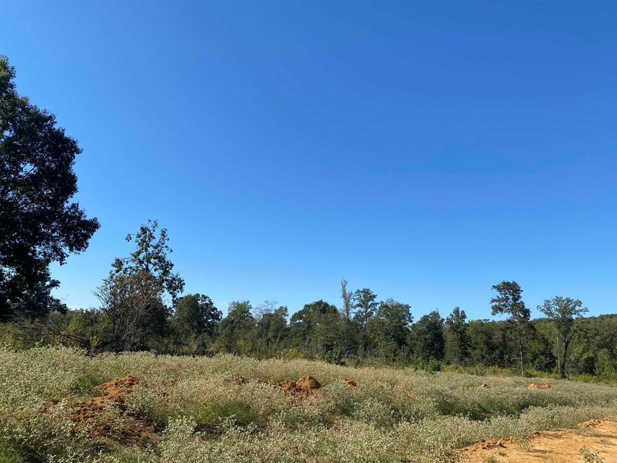 Perfect place to build your dream home!! Large building tracts in a quiet and secluded area, yet close to town! Beautiful homes surrounding this new area.  Road to be chip sealed by developer.  Minimum build 2200 heated and cooled sq feet.  Beebe School District.