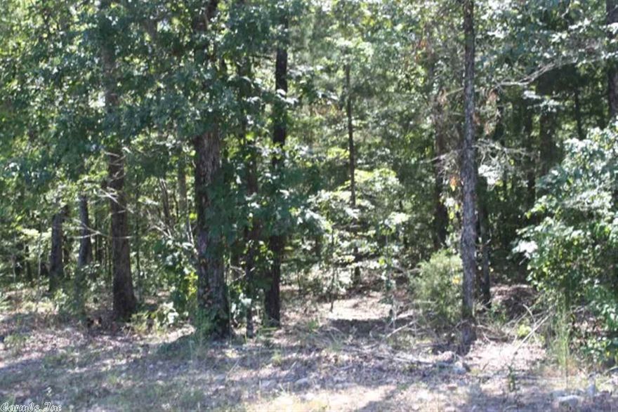 40 acres of gorgeous level land with lots of timber on it.  Road frontage with electricity at road.