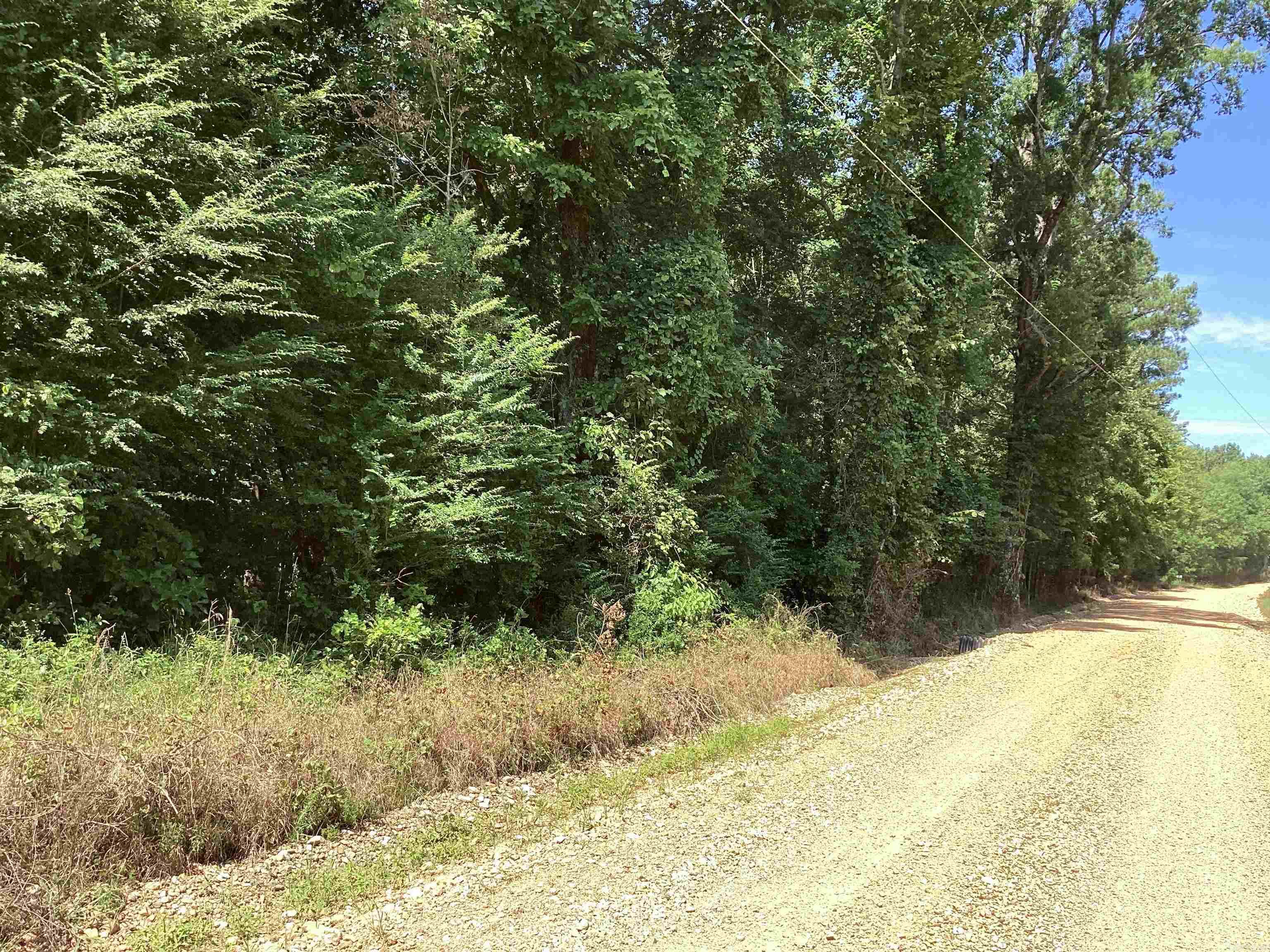 Beautiful pond stocked with fish. Gently rolling hills. Mixed hard wood and pine timber with about 4-5 acres of pasture.