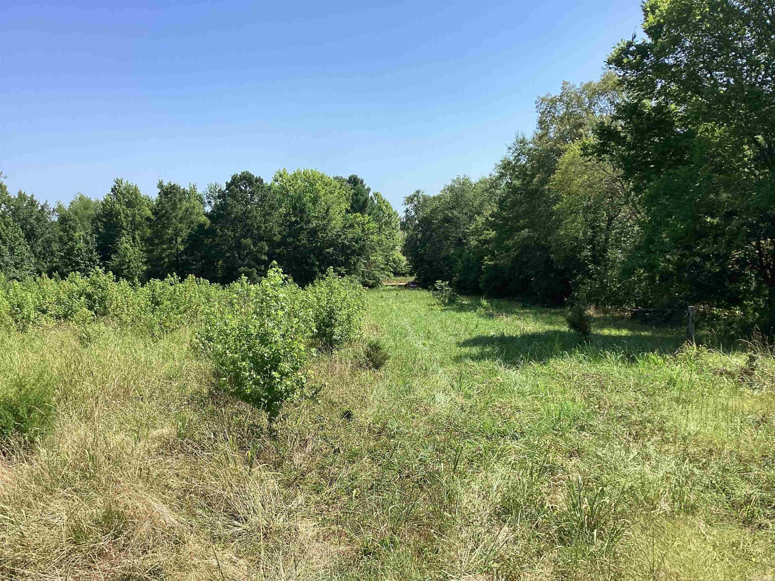 Metes & Bounds - Land