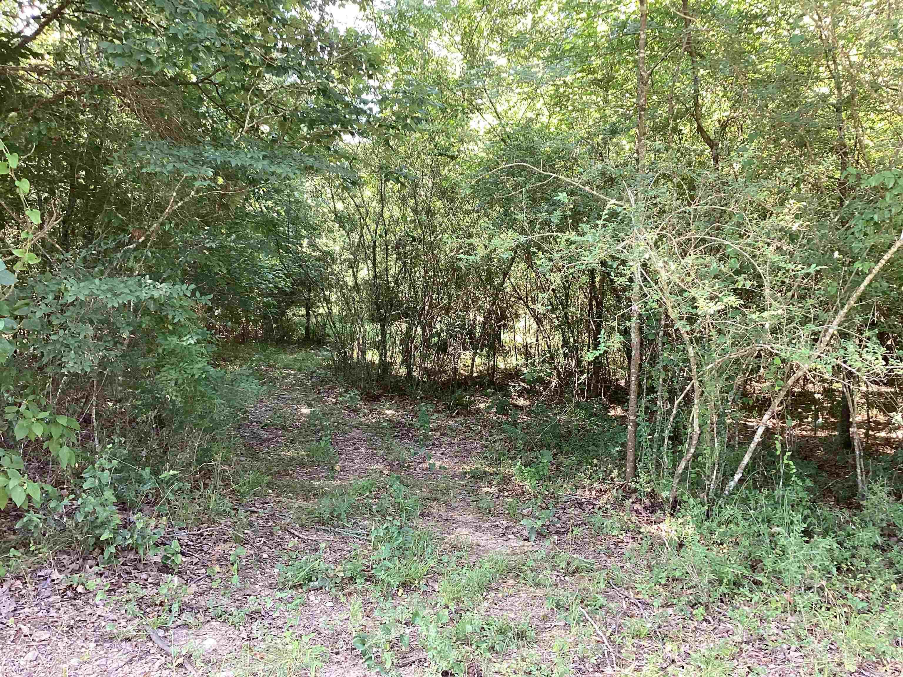 Metes & Bounds - Land