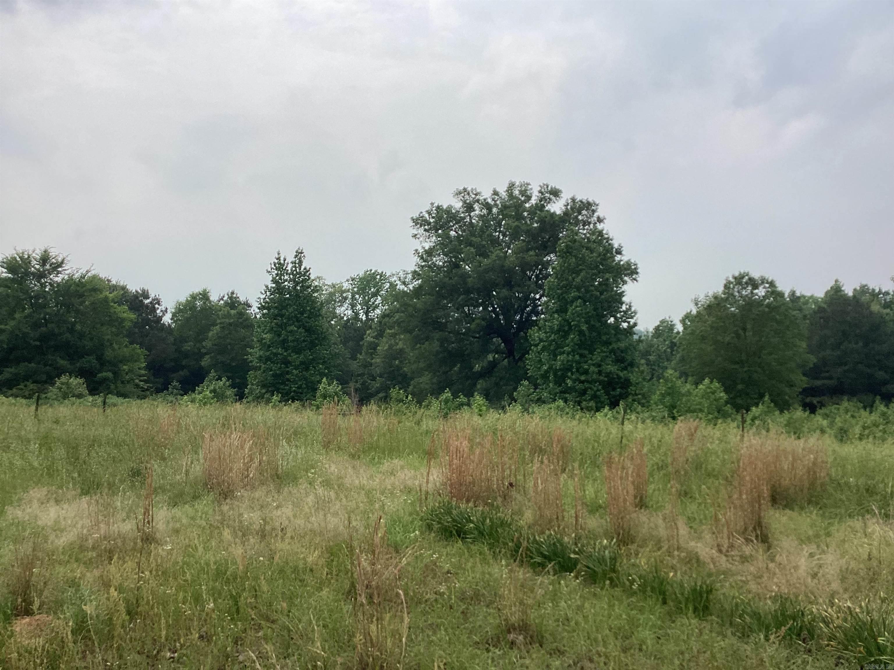 Beautiful pond stocked with fish. Gently rolling hills. Mixed hard wood and pine timber with about 4-5 acres of pasture.